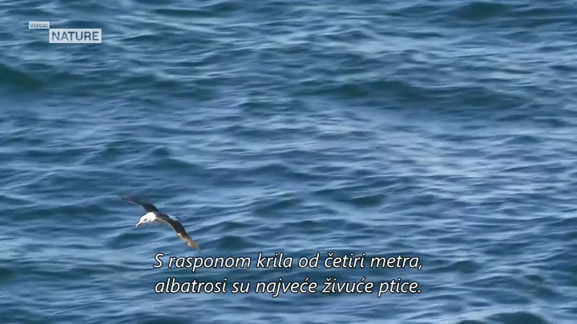 ViasatNature