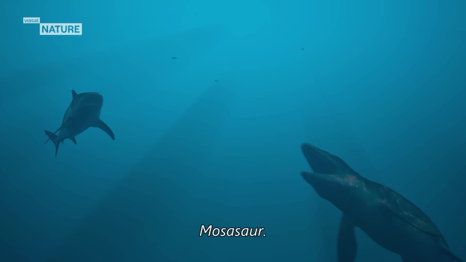 ViasatNature