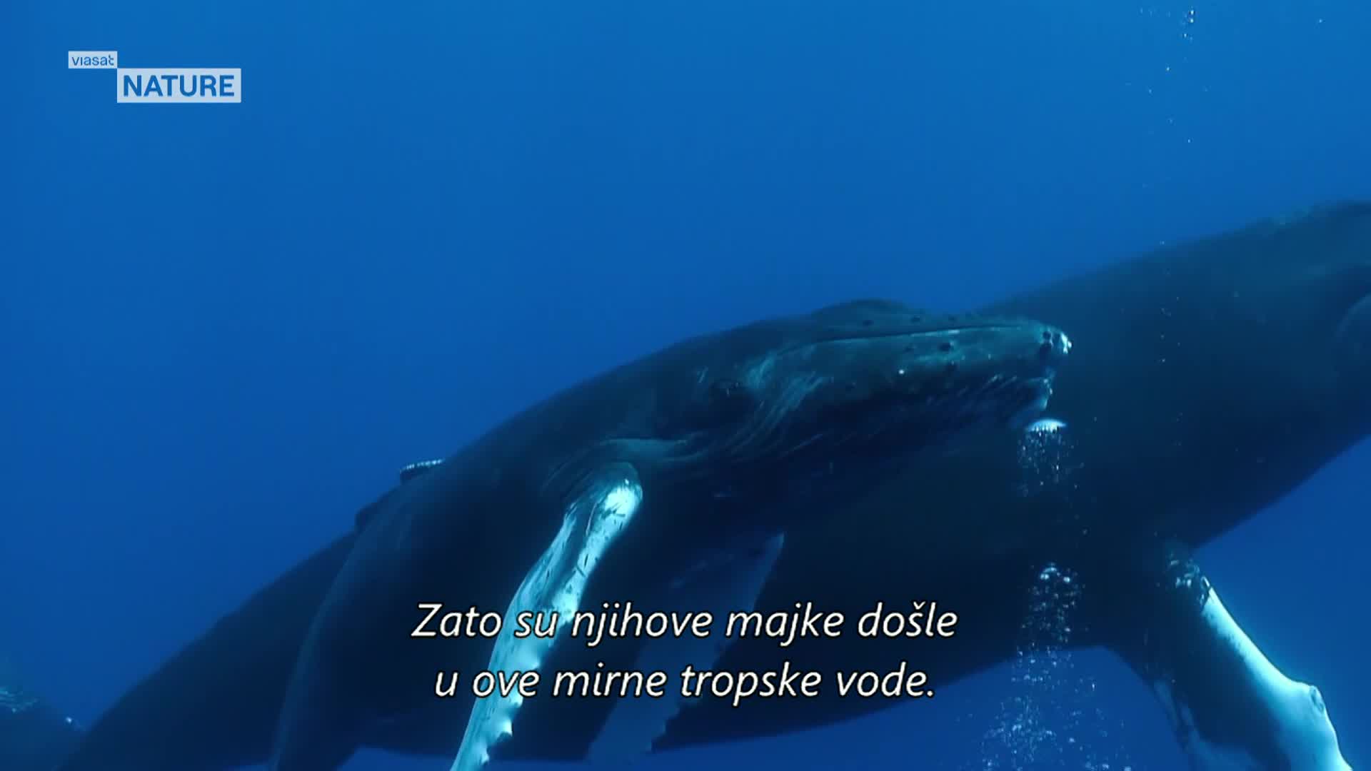 ViasatNature
