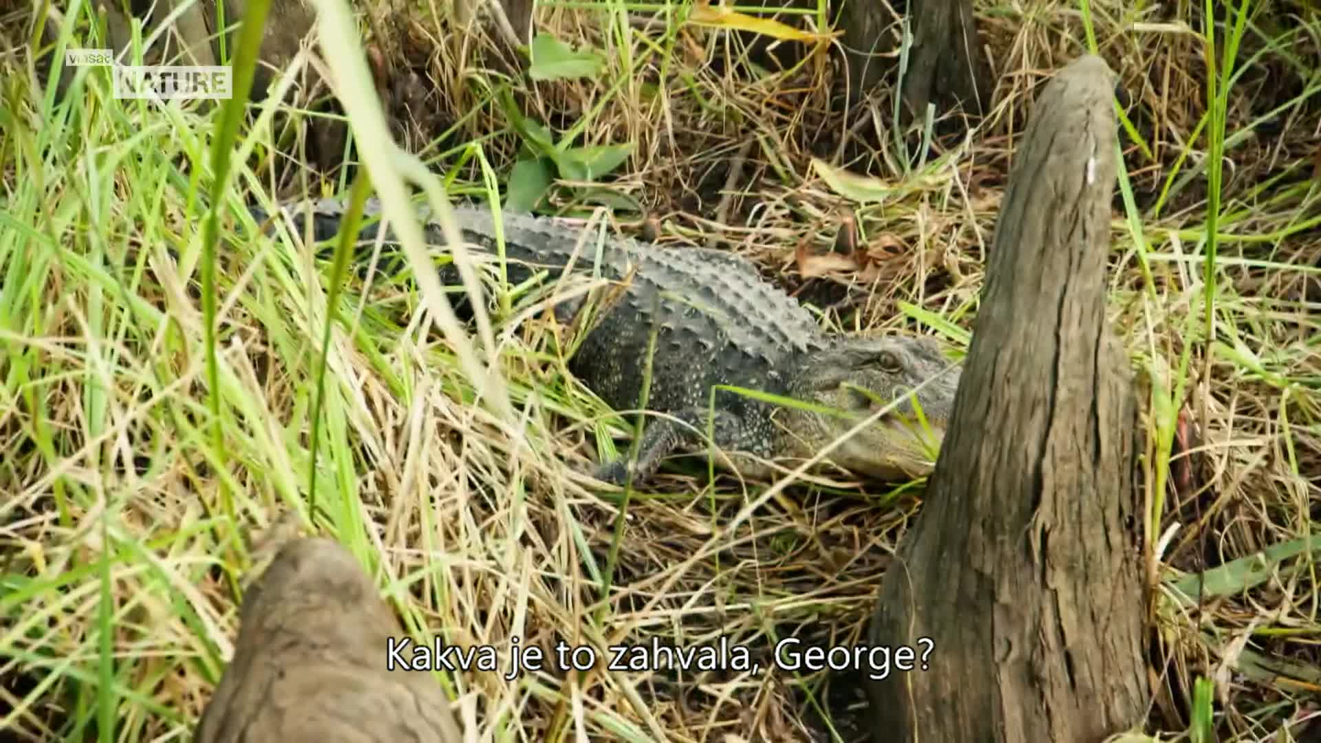 ViasatNature