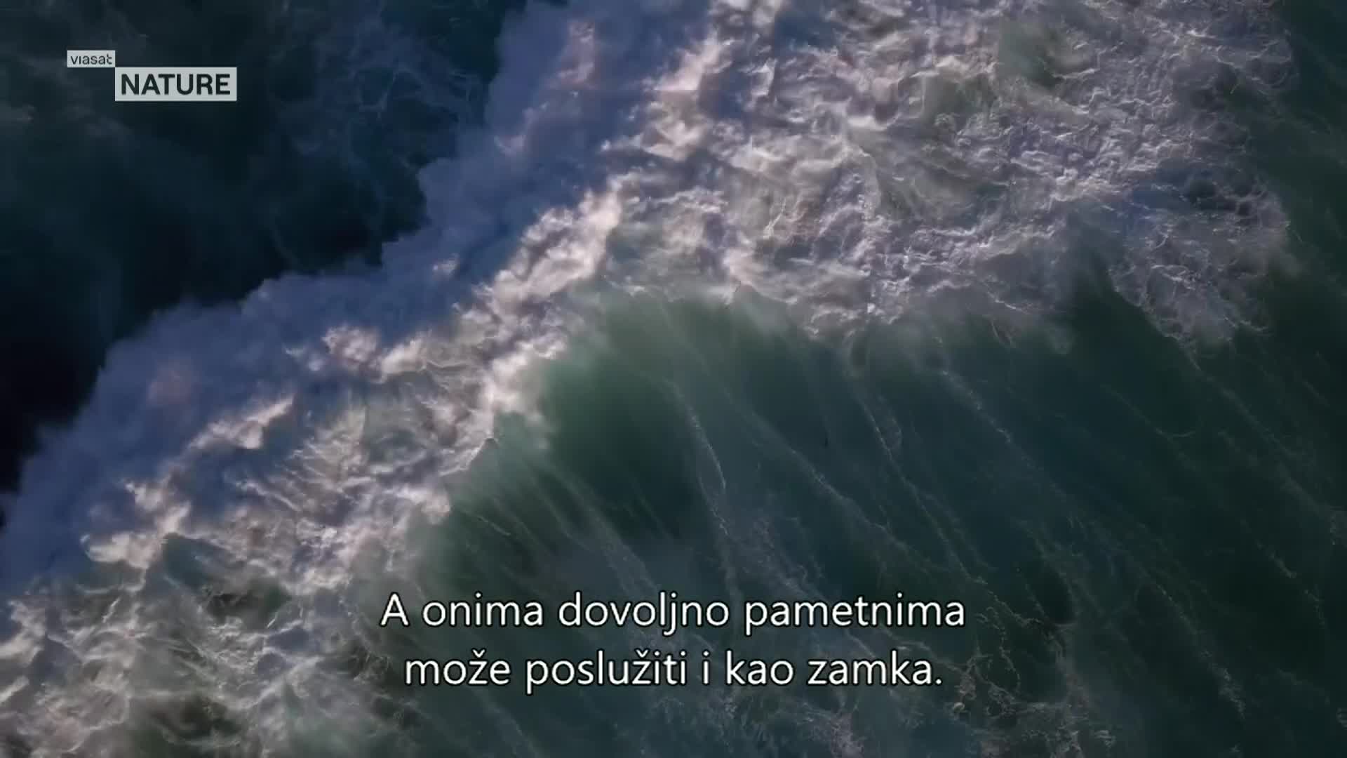 ViasatNature