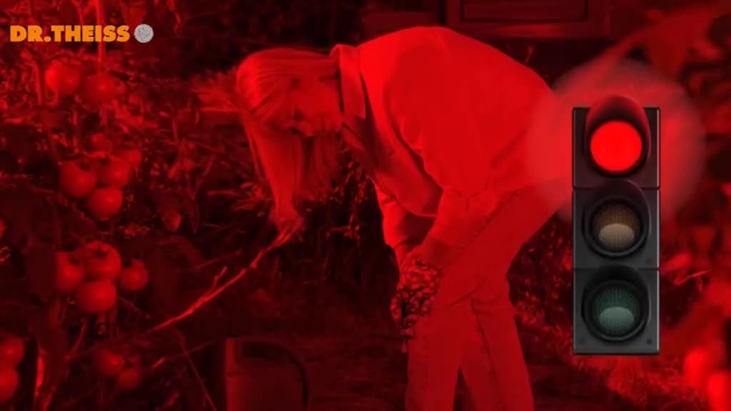 PinkHorror