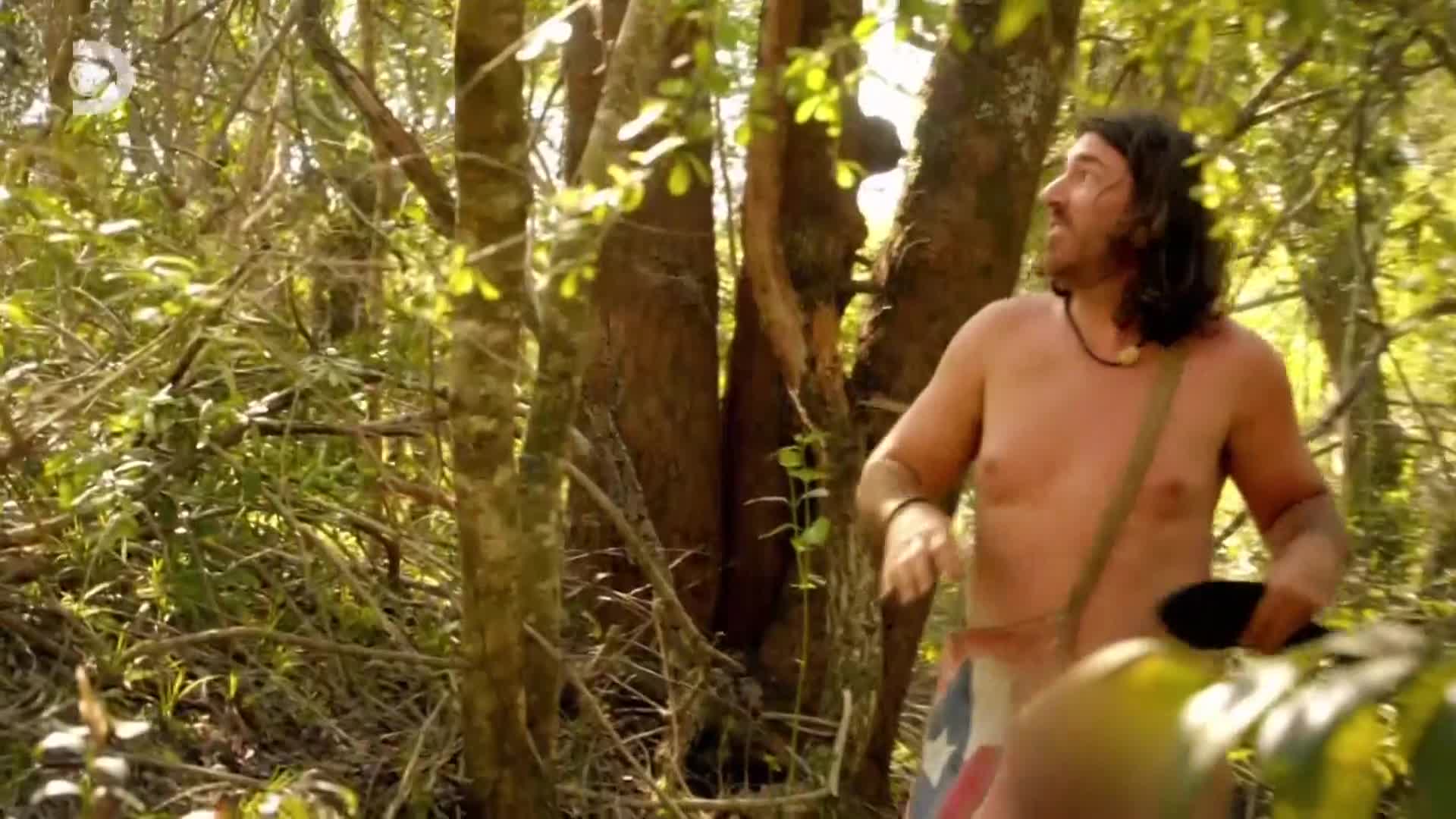 ViasatExplorer