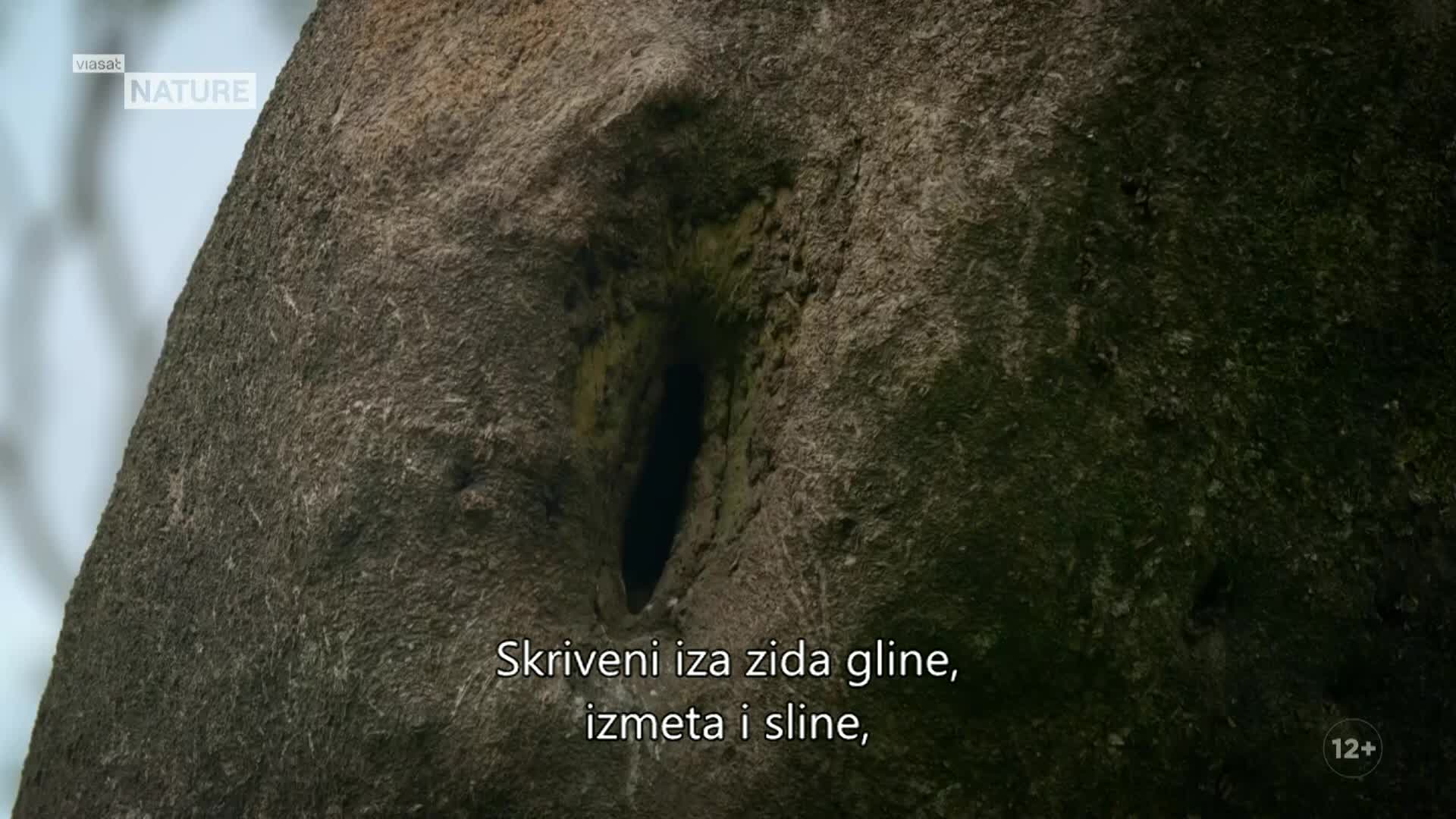 ViasatNature