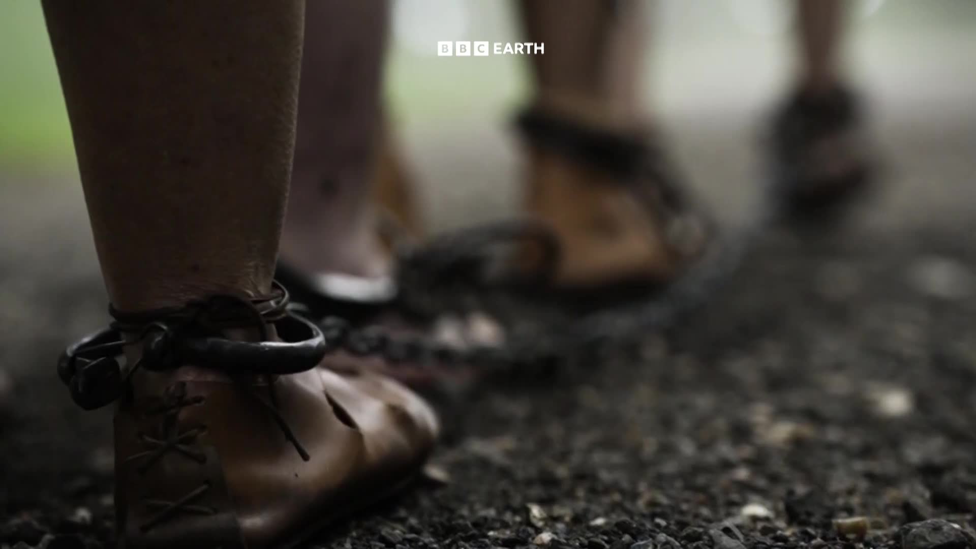 BBCEarth