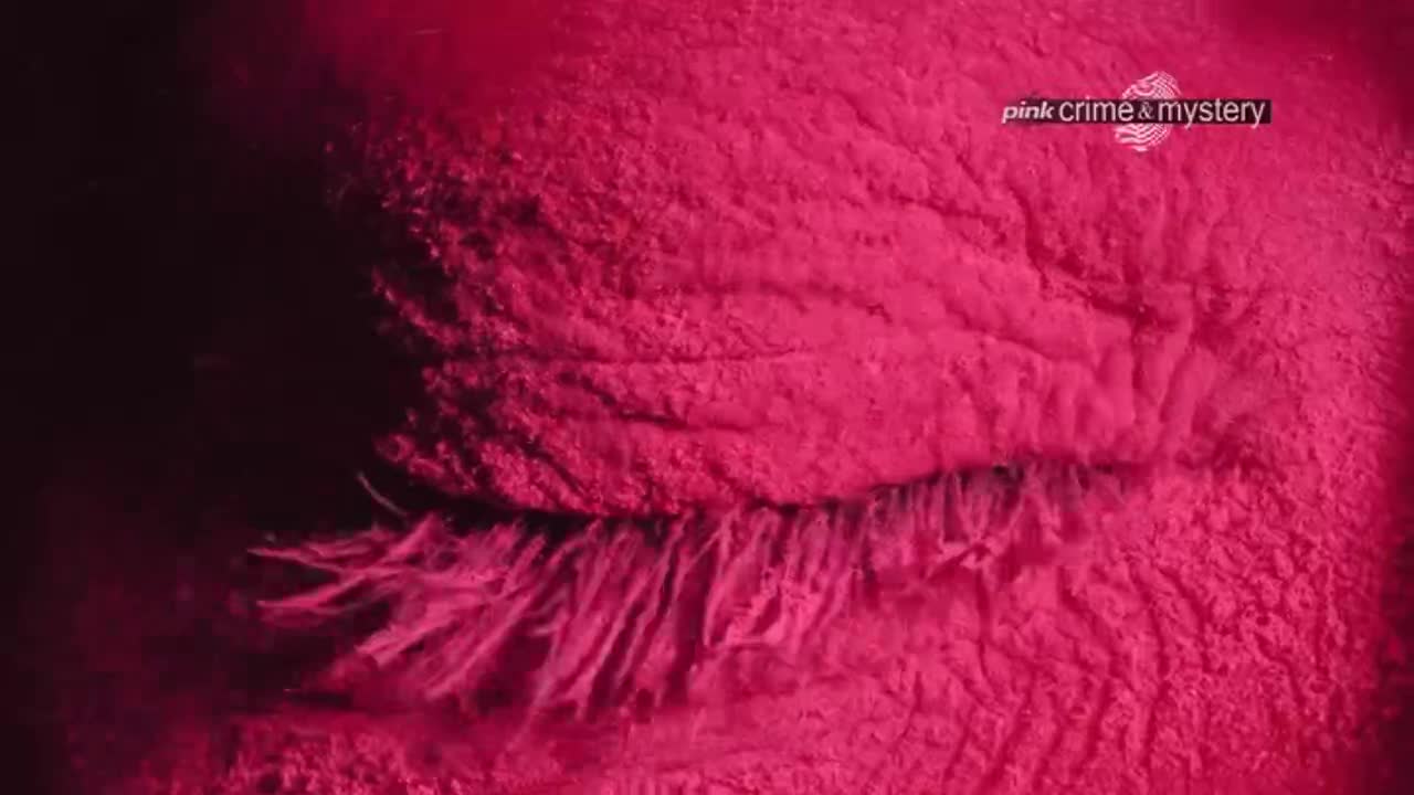 PinkCrimeMystery