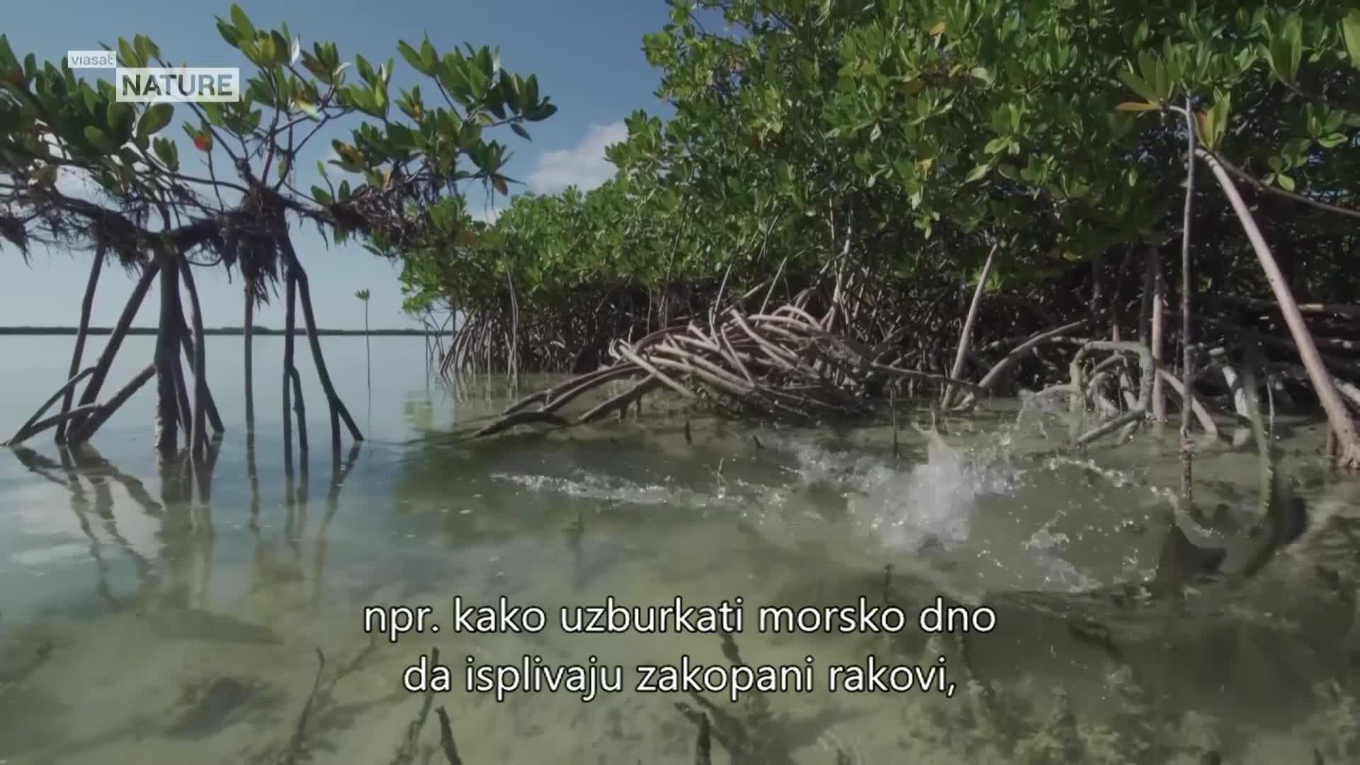 ViasatNature