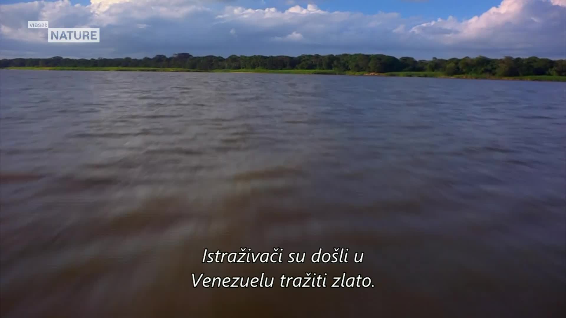 ViasatNature