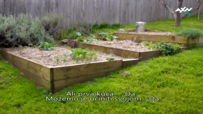 AXNSpin
