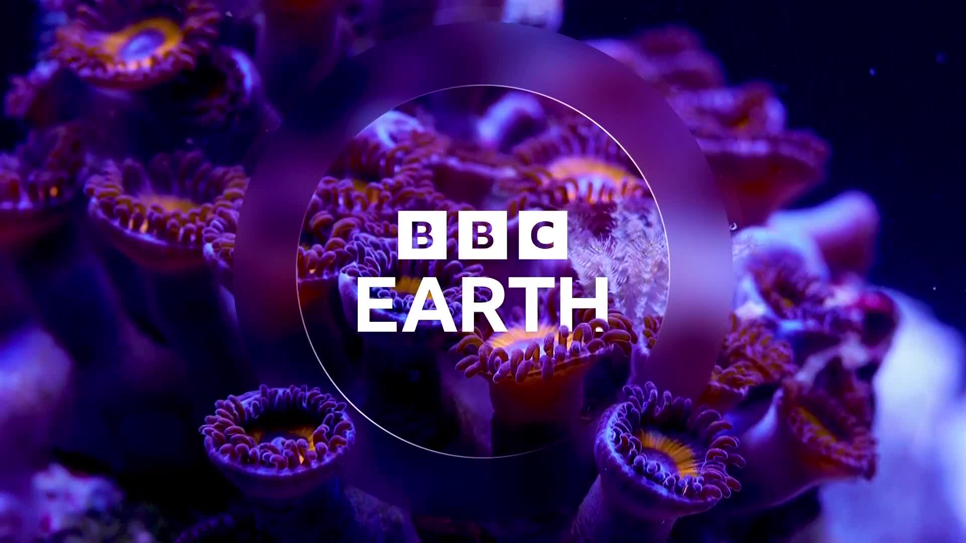 BBCEarth