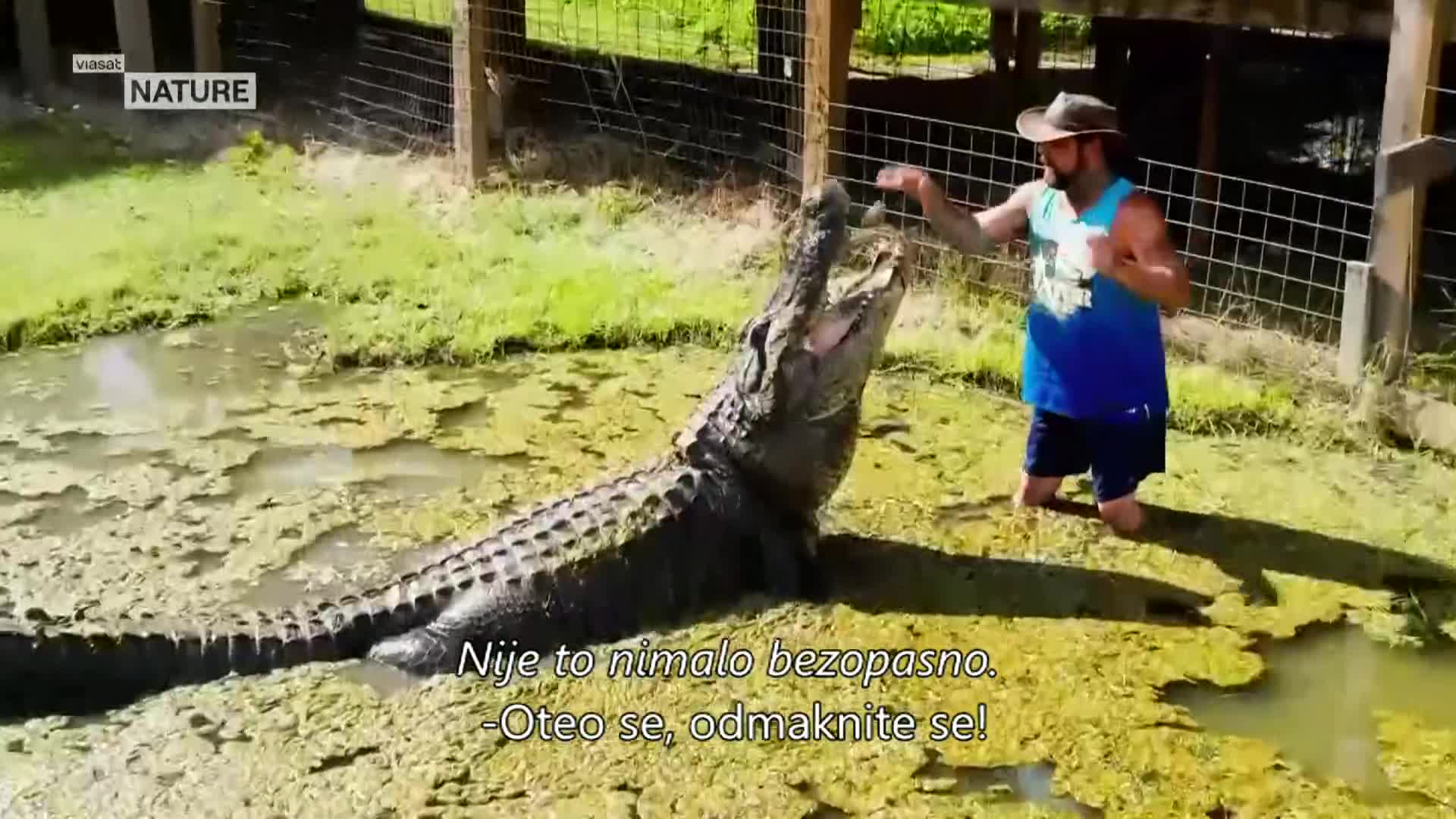 ViasatNature