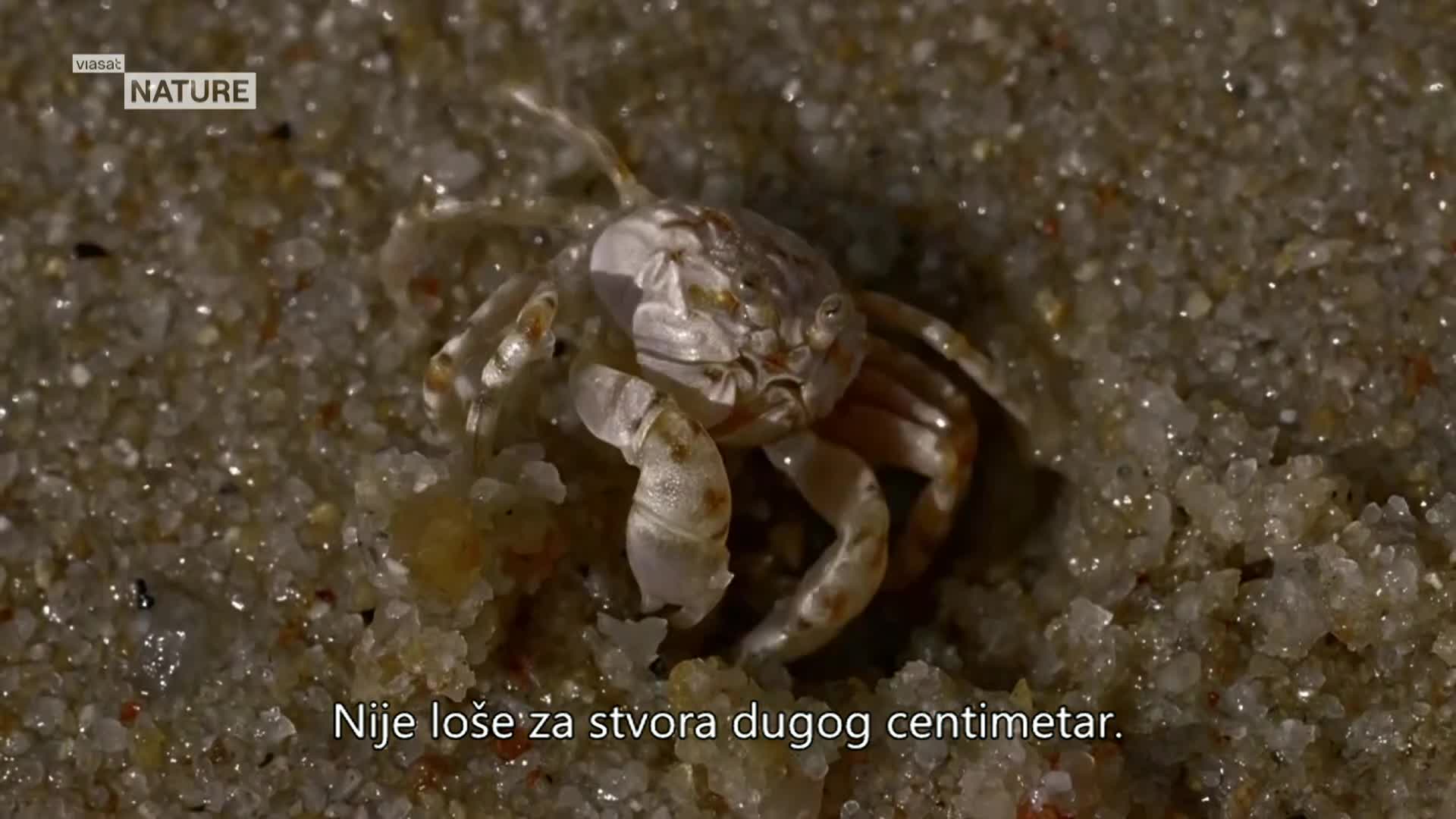 ViasatNature
