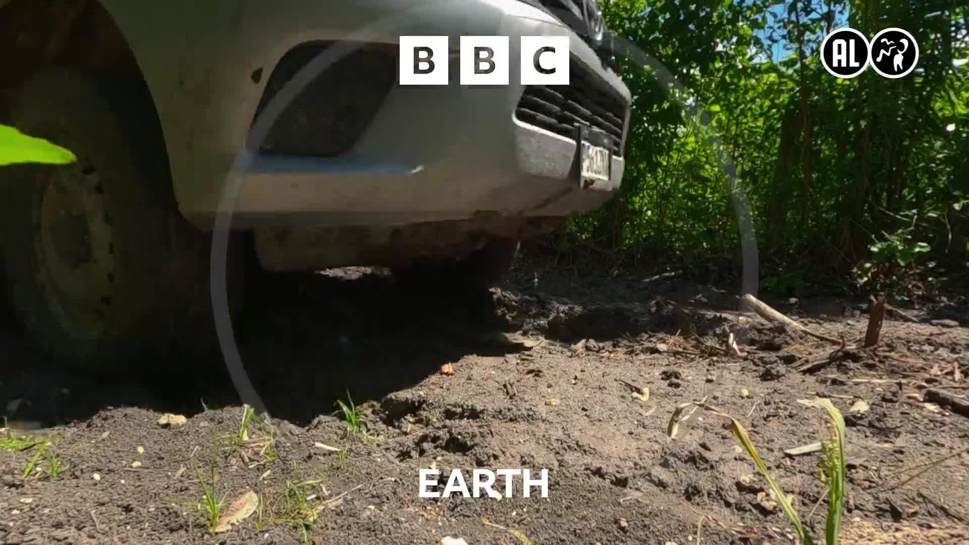BBCEarth