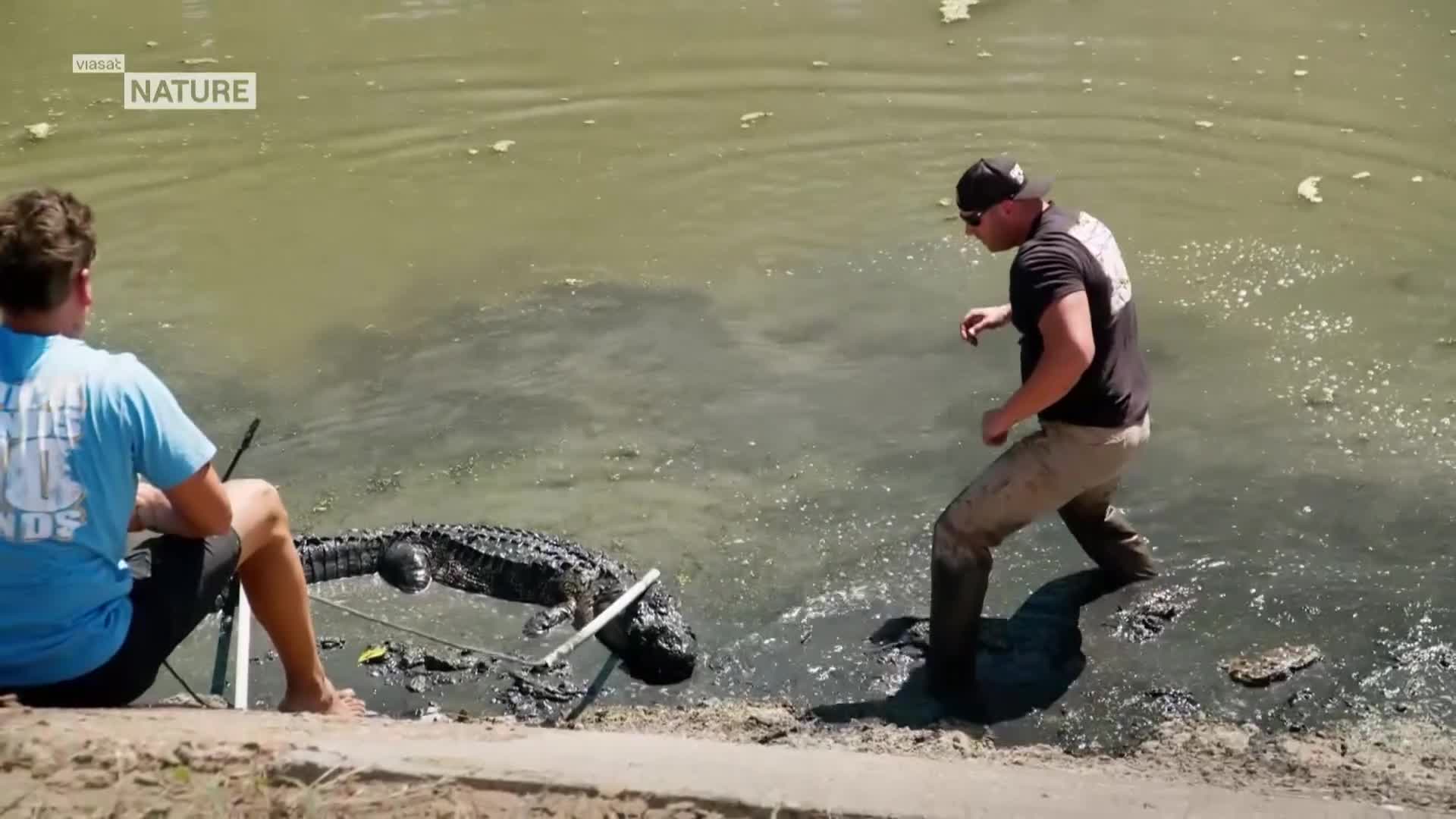 ViasatNature