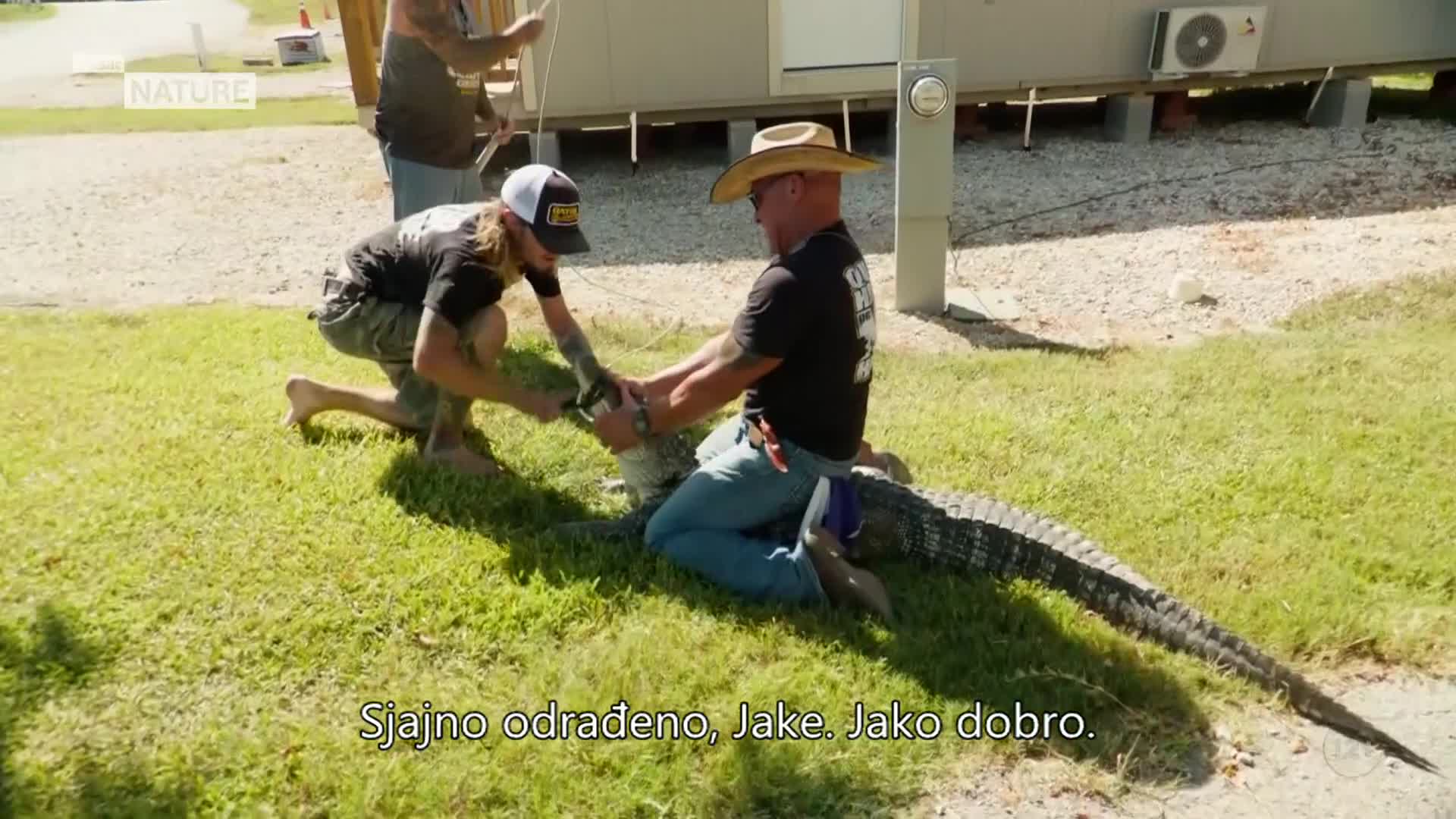 ViasatNature