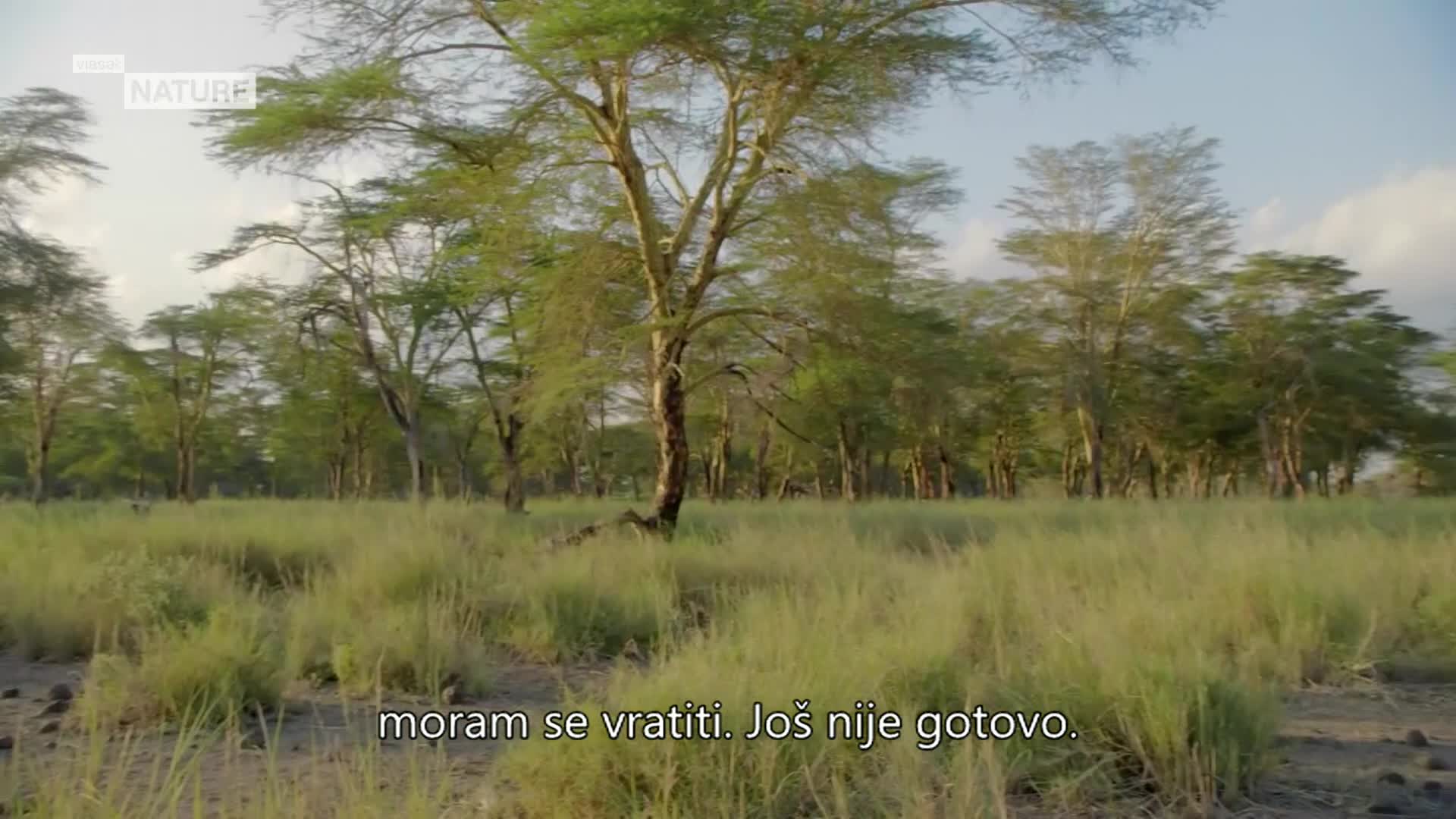 ViasatNature