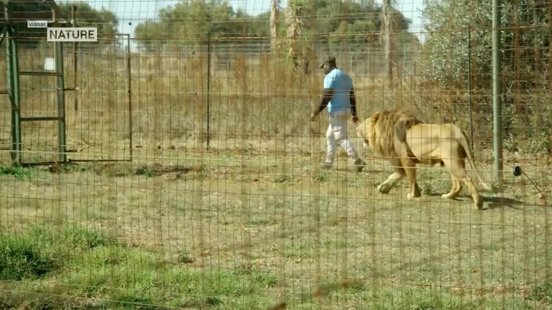 ViasatNature