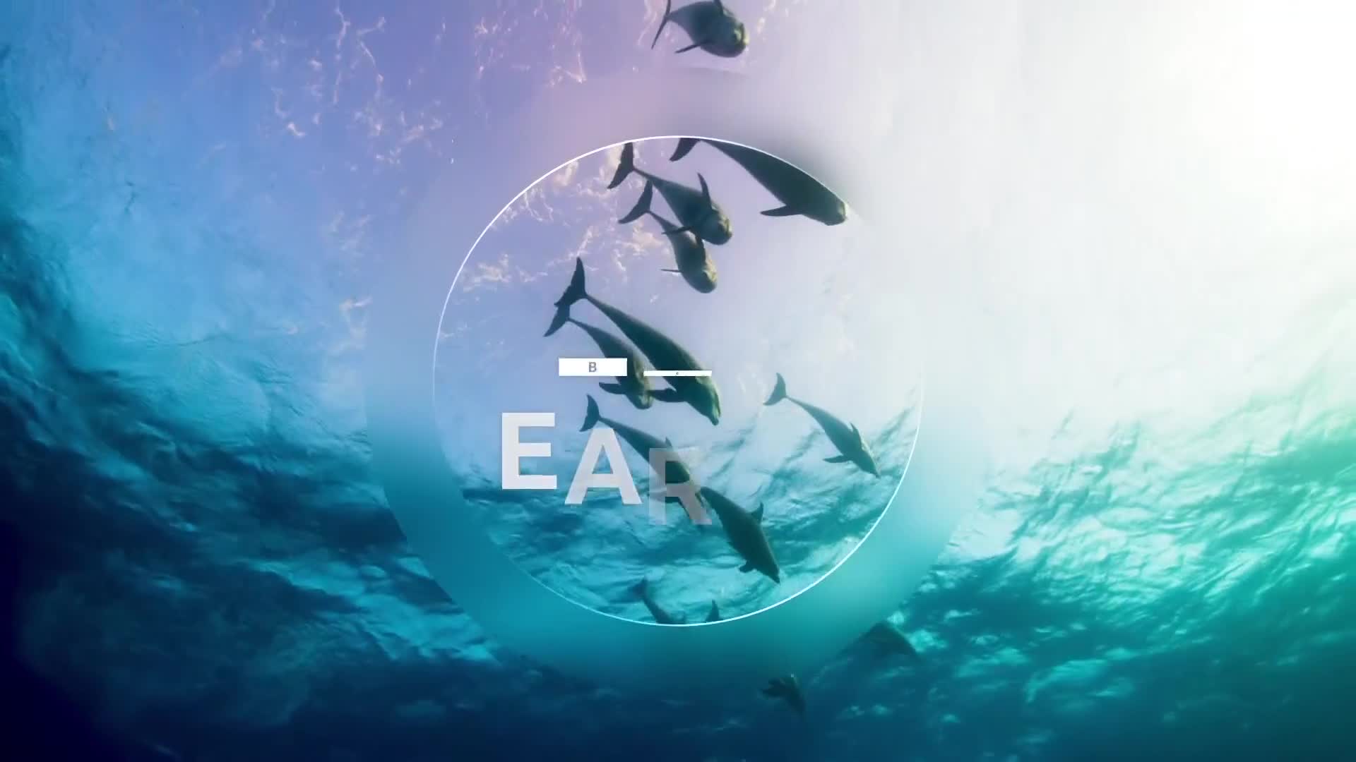 BBCEarth