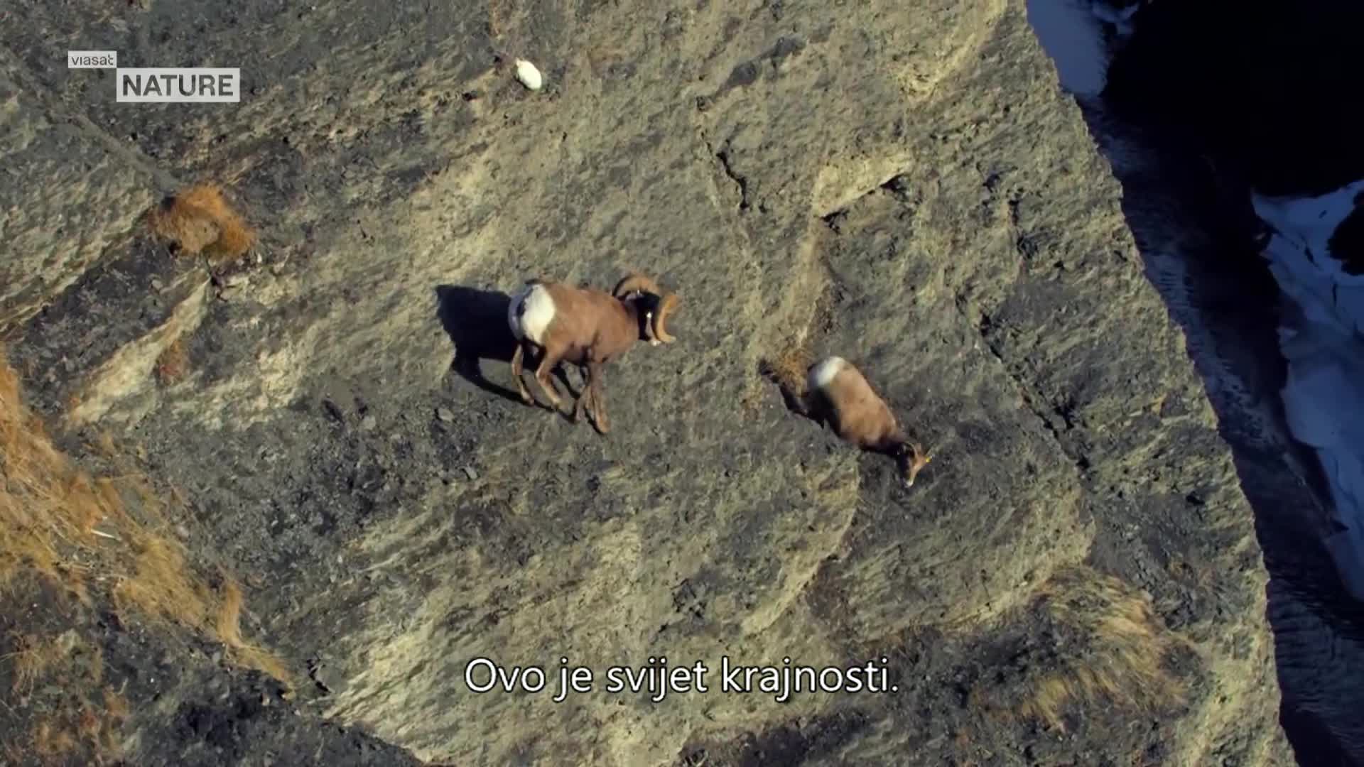 ViasatNature