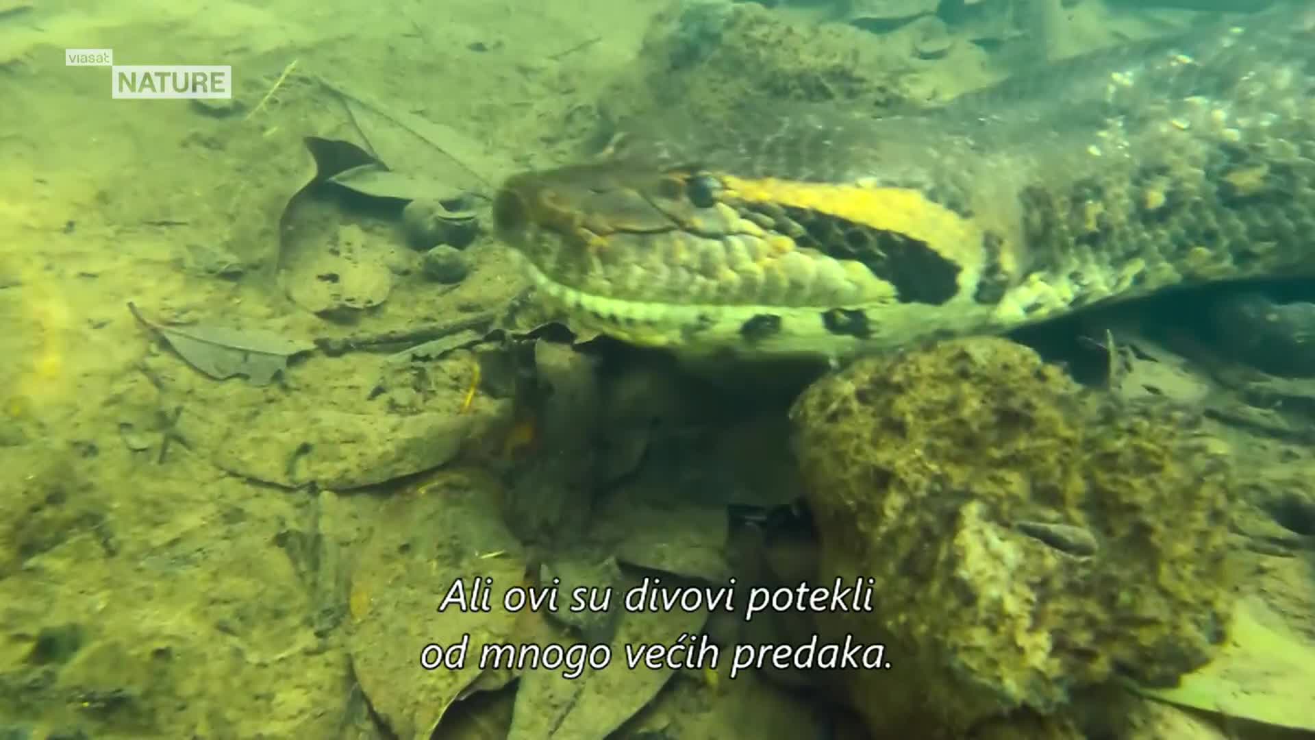 ViasatNature