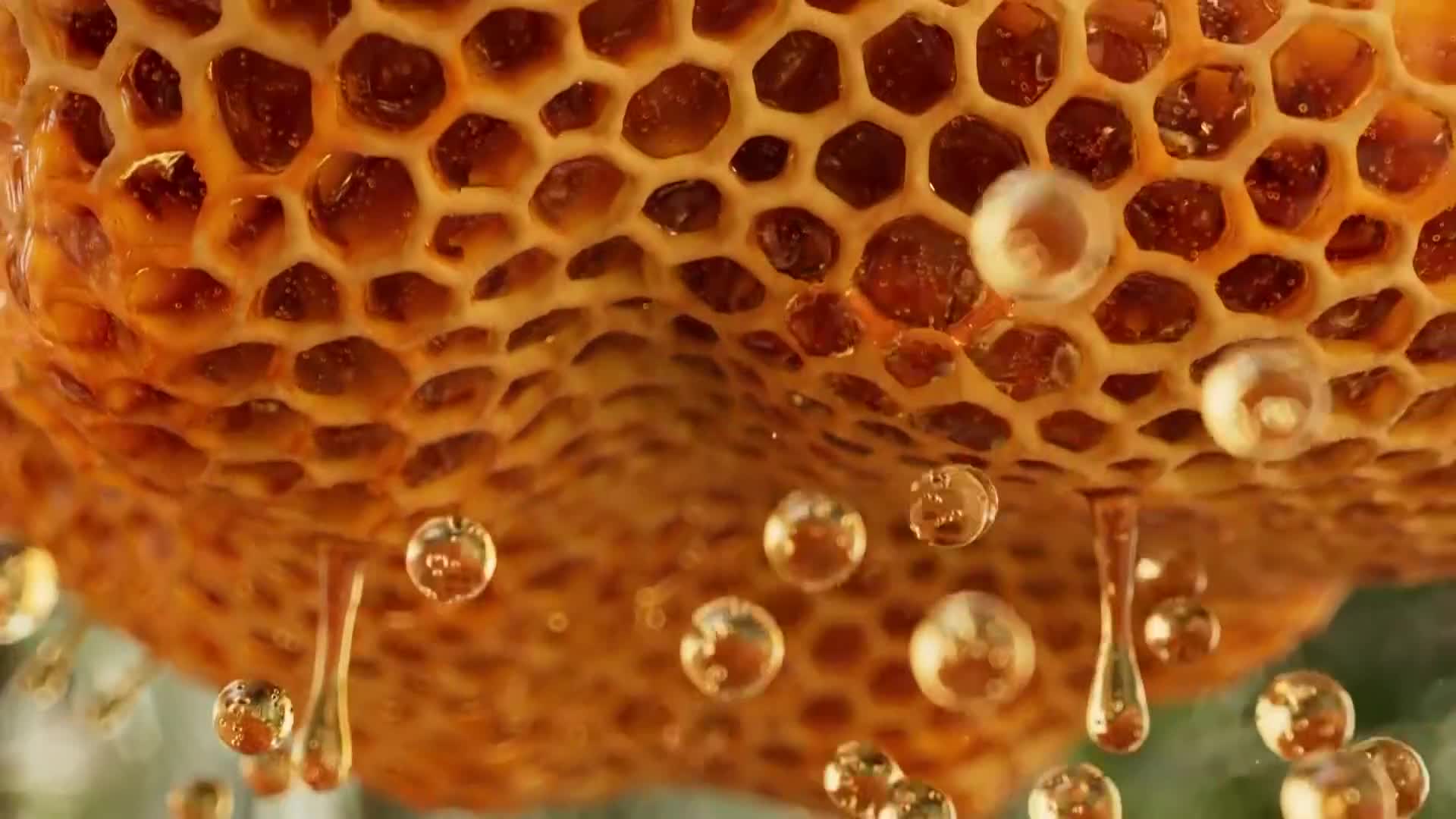ViasatNature