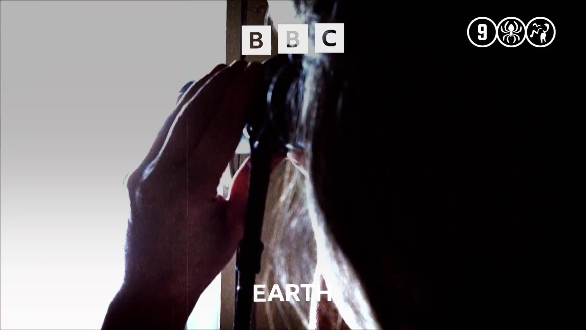 BBCEarth
