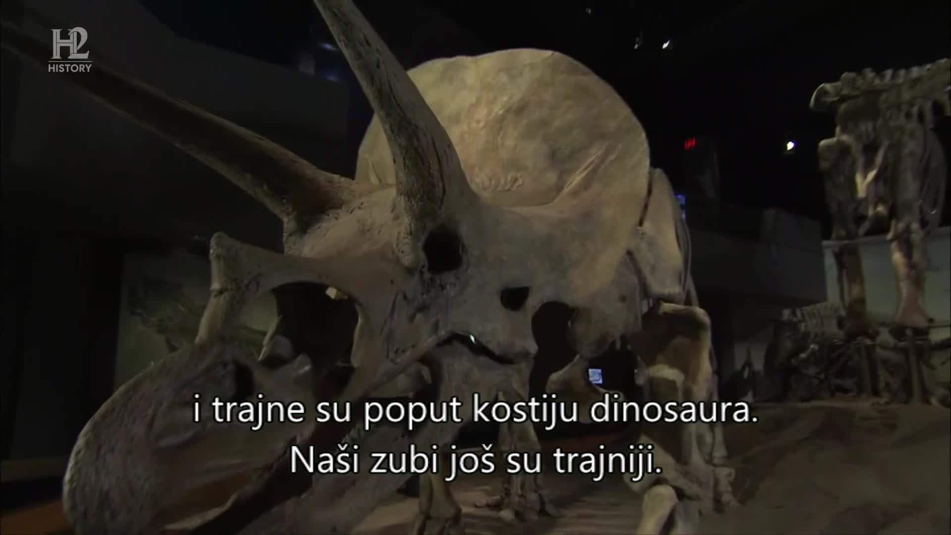 History2