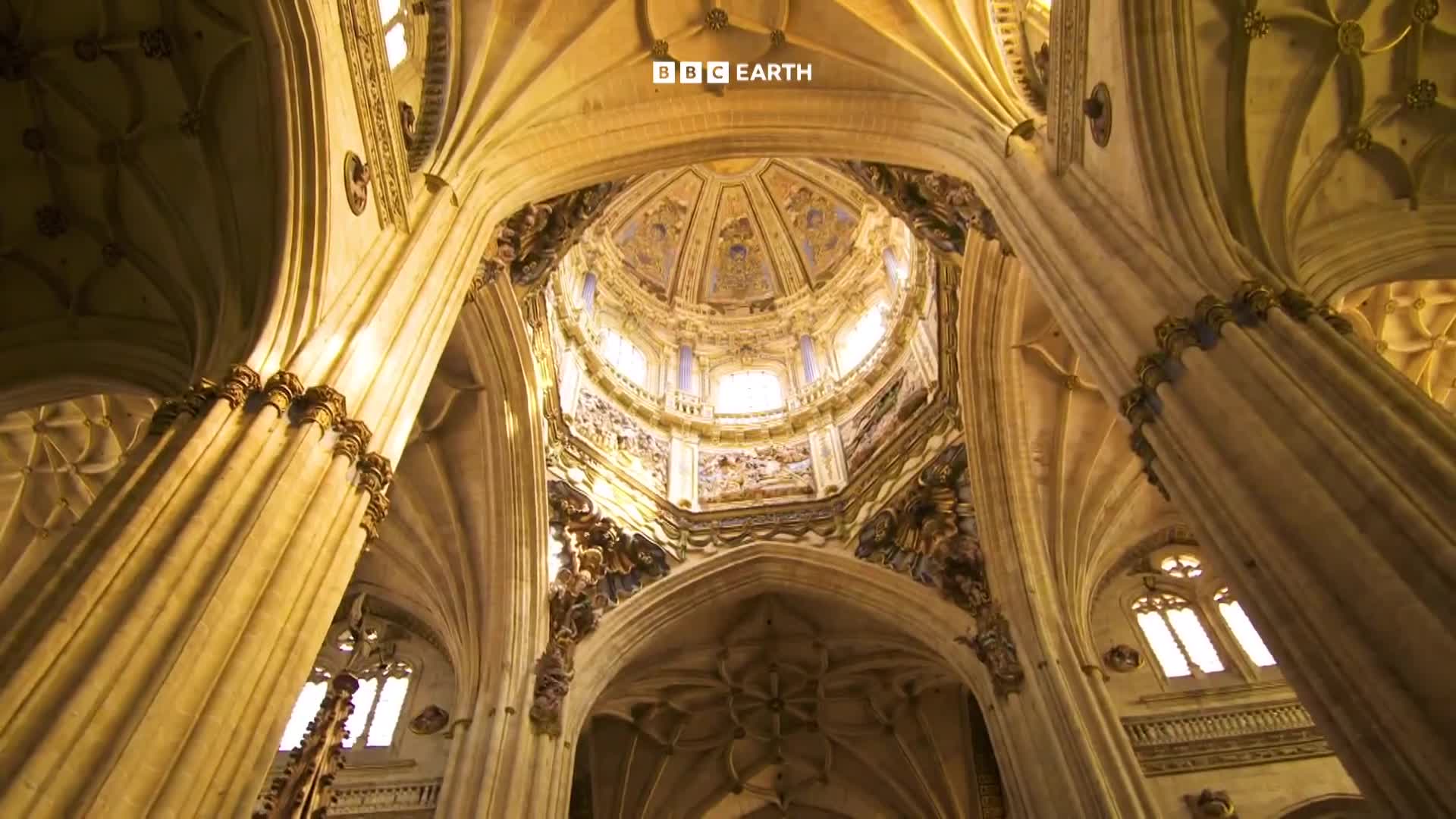 BBCEarth