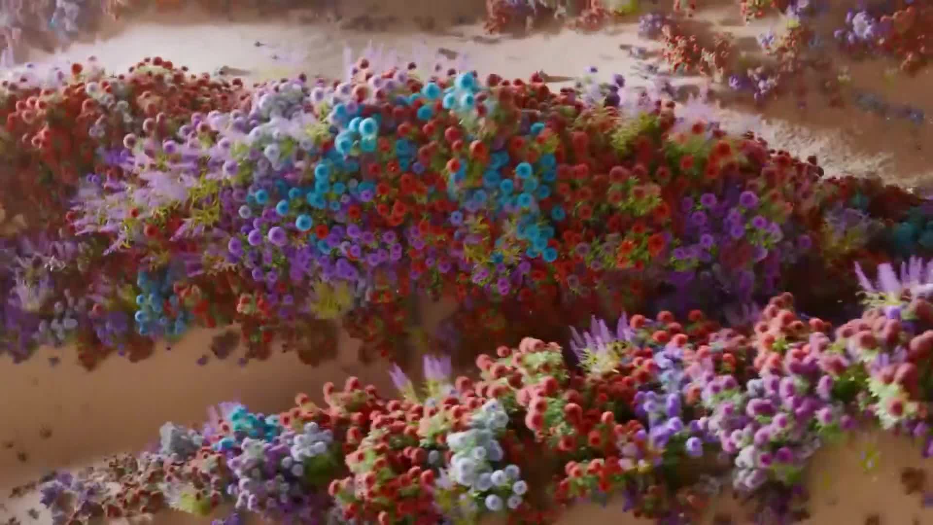 ViasatNature