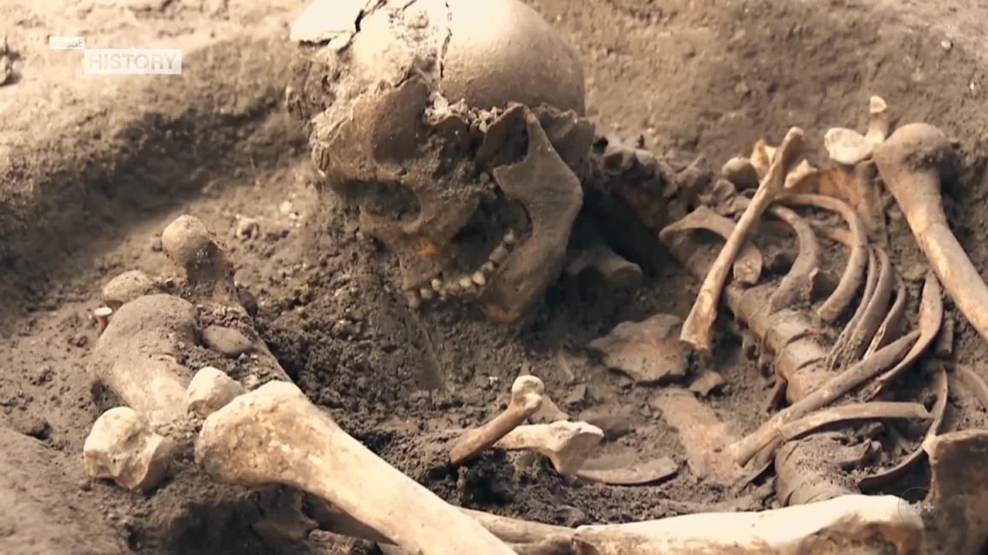 ViasatHistory