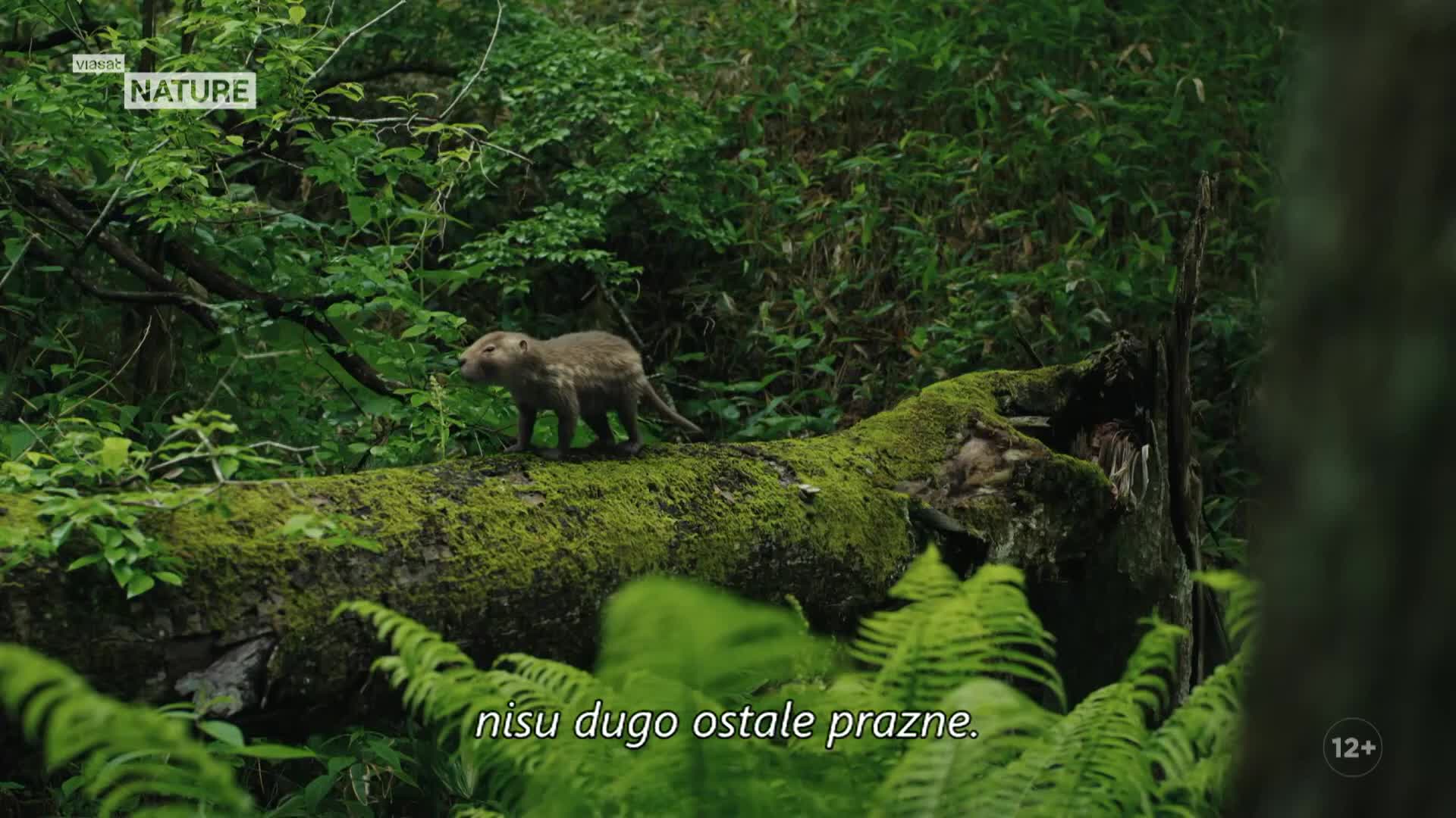 ViasatNature