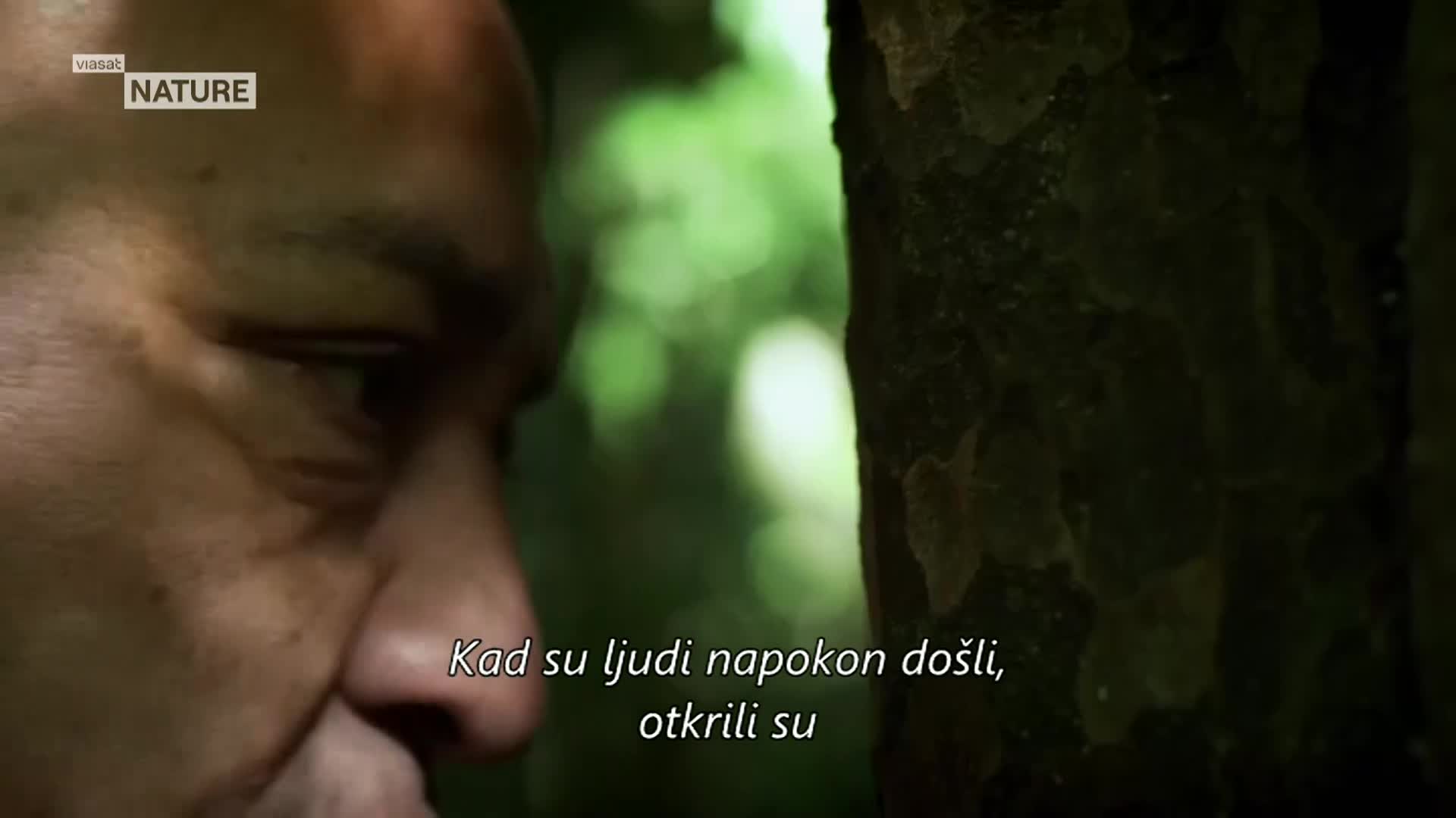 ViasatNature