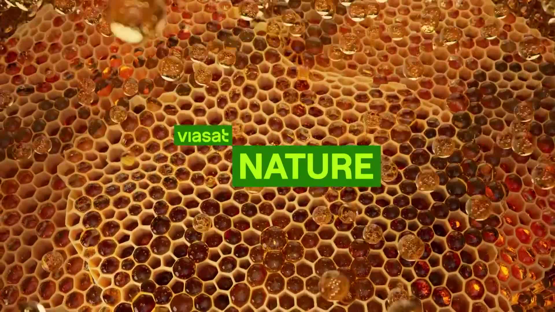 ViasatNature