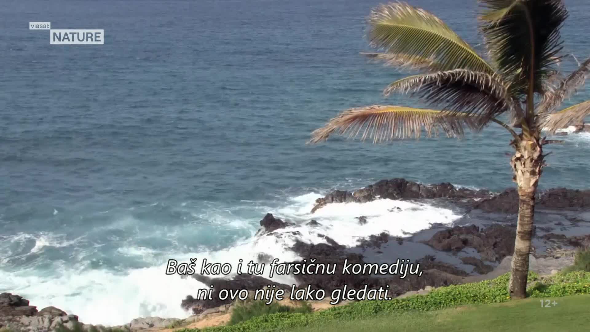 ViasatNature