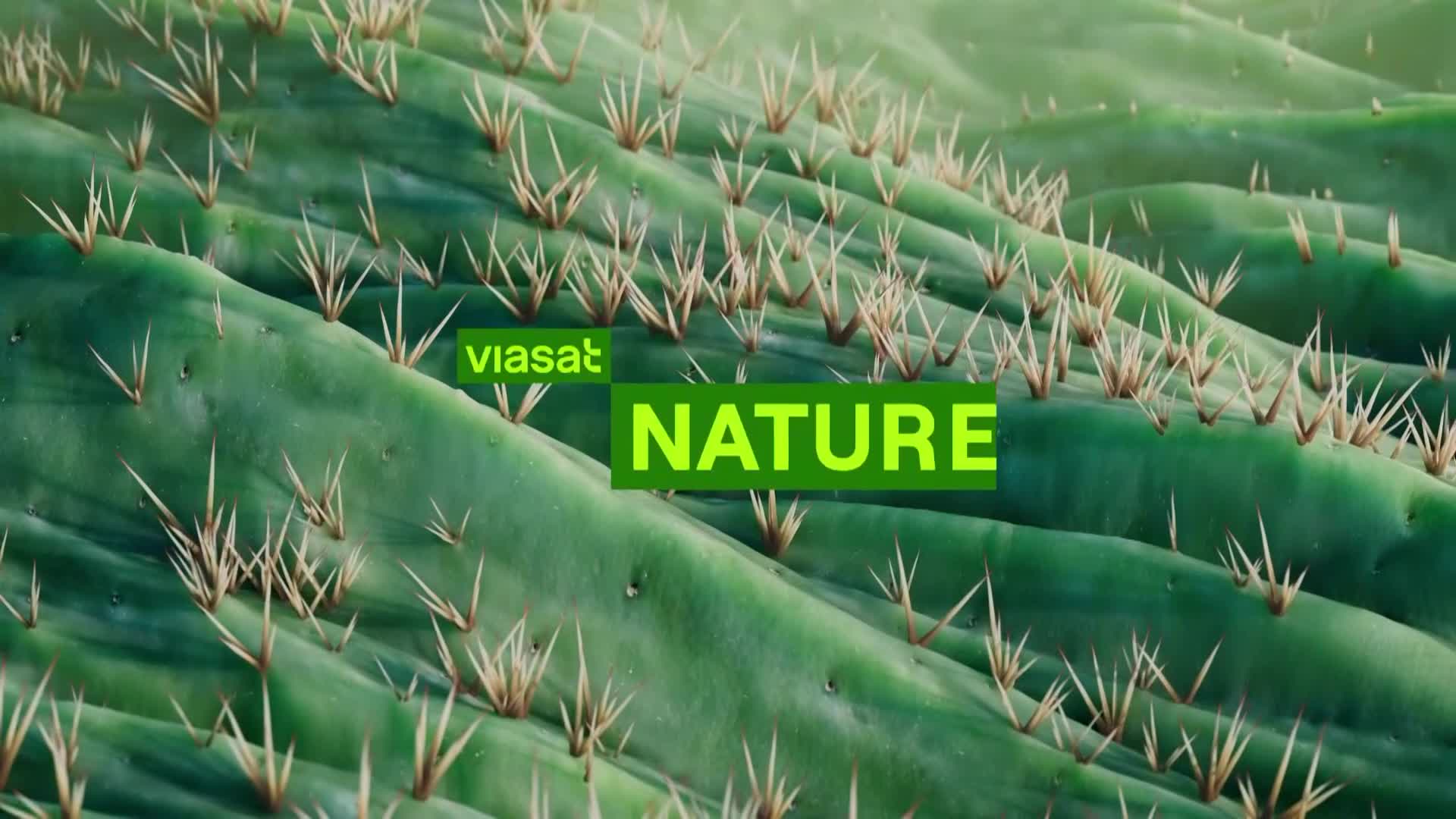 ViasatNature