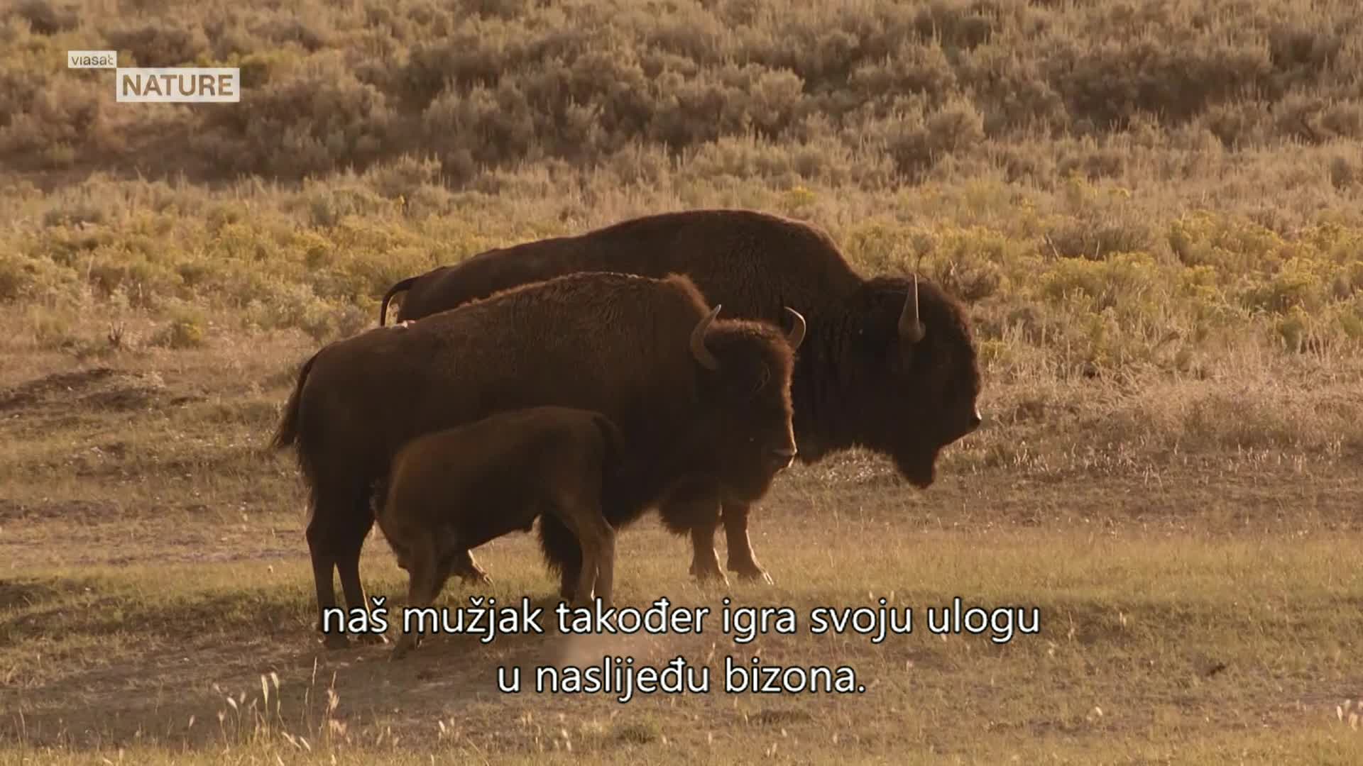 ViasatNature