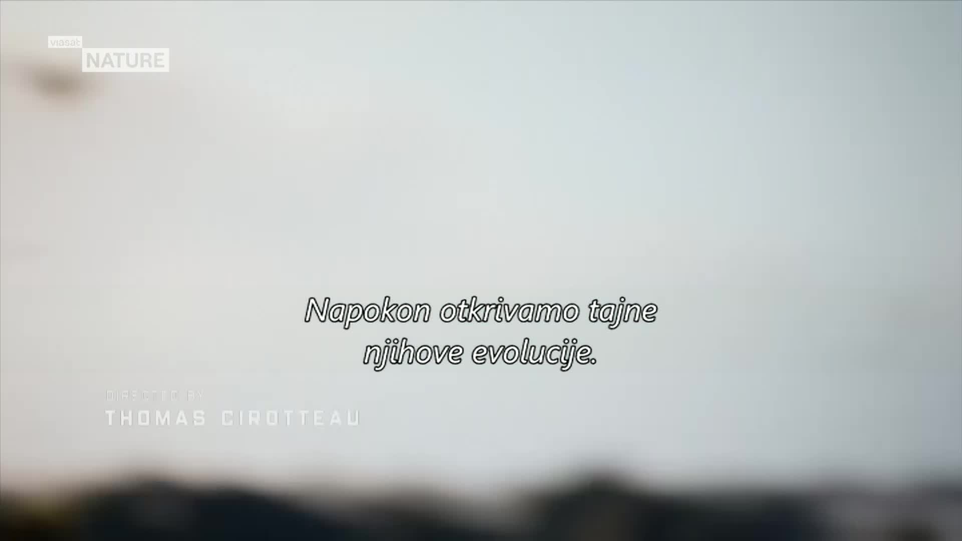 ViasatNature