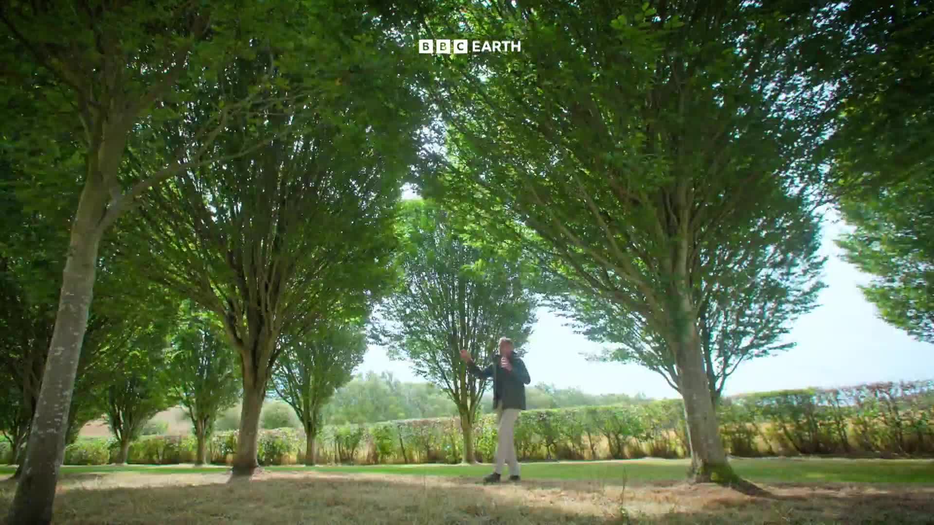 BBCEarth