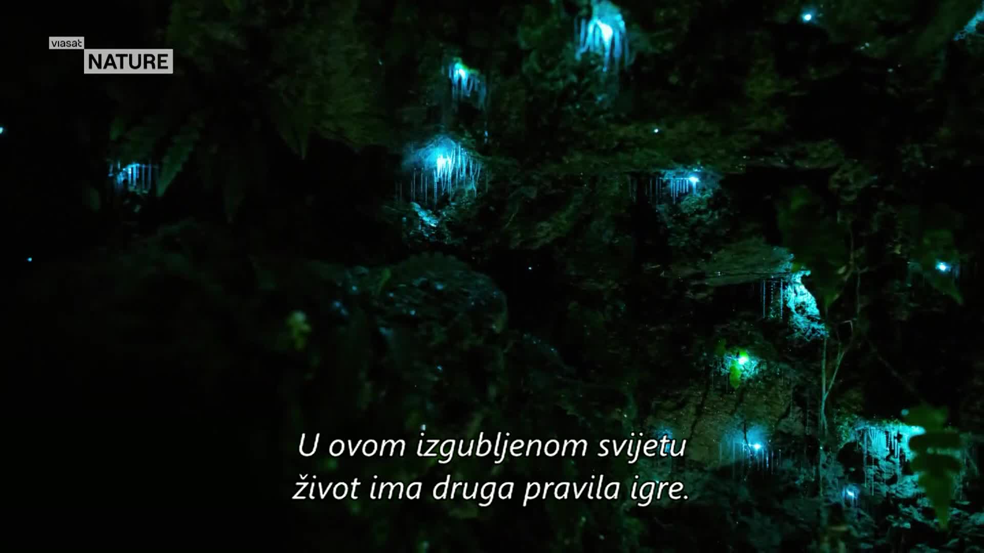 ViasatNature