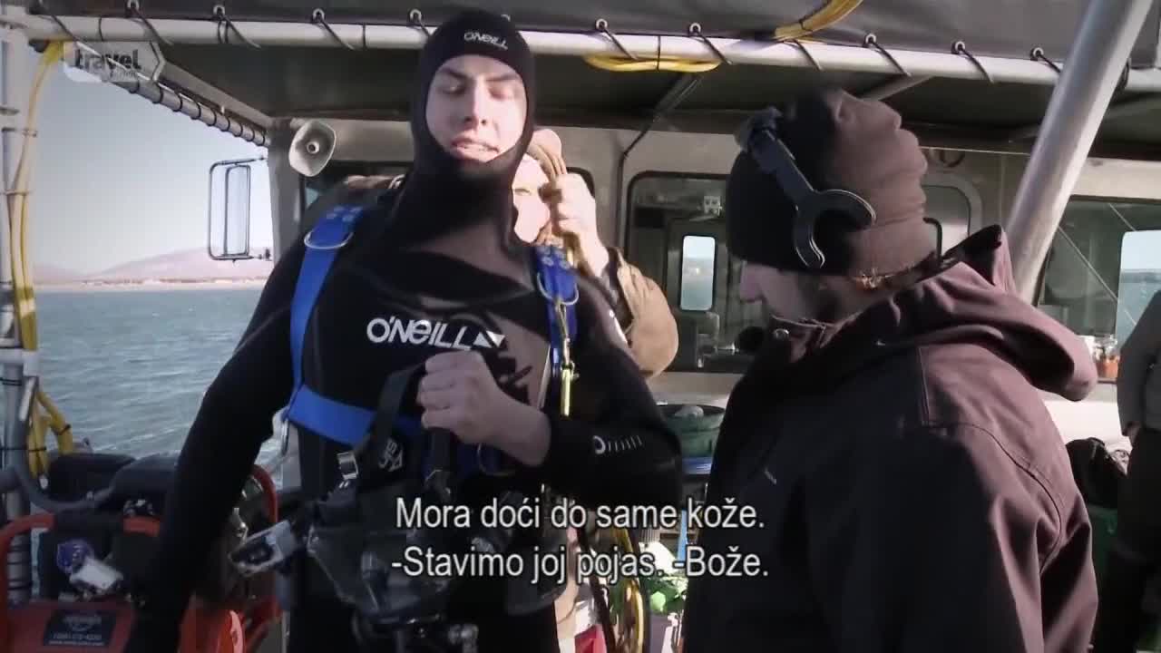 Travel