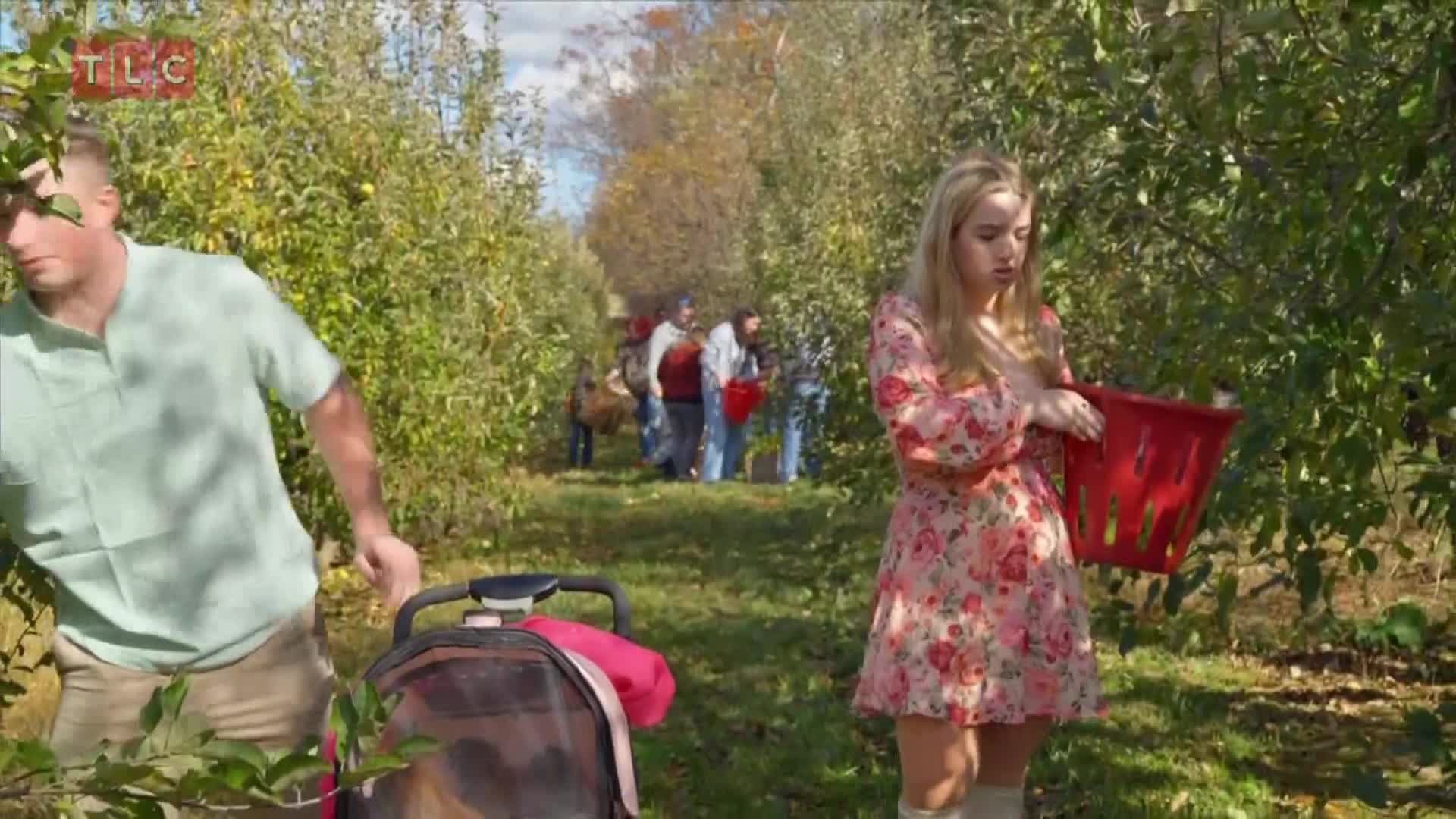 TLC