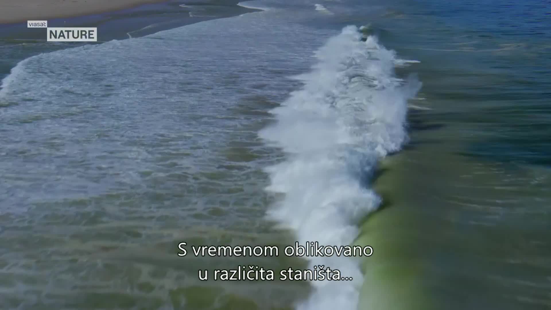 ViasatNature