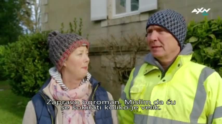 AXNSpin