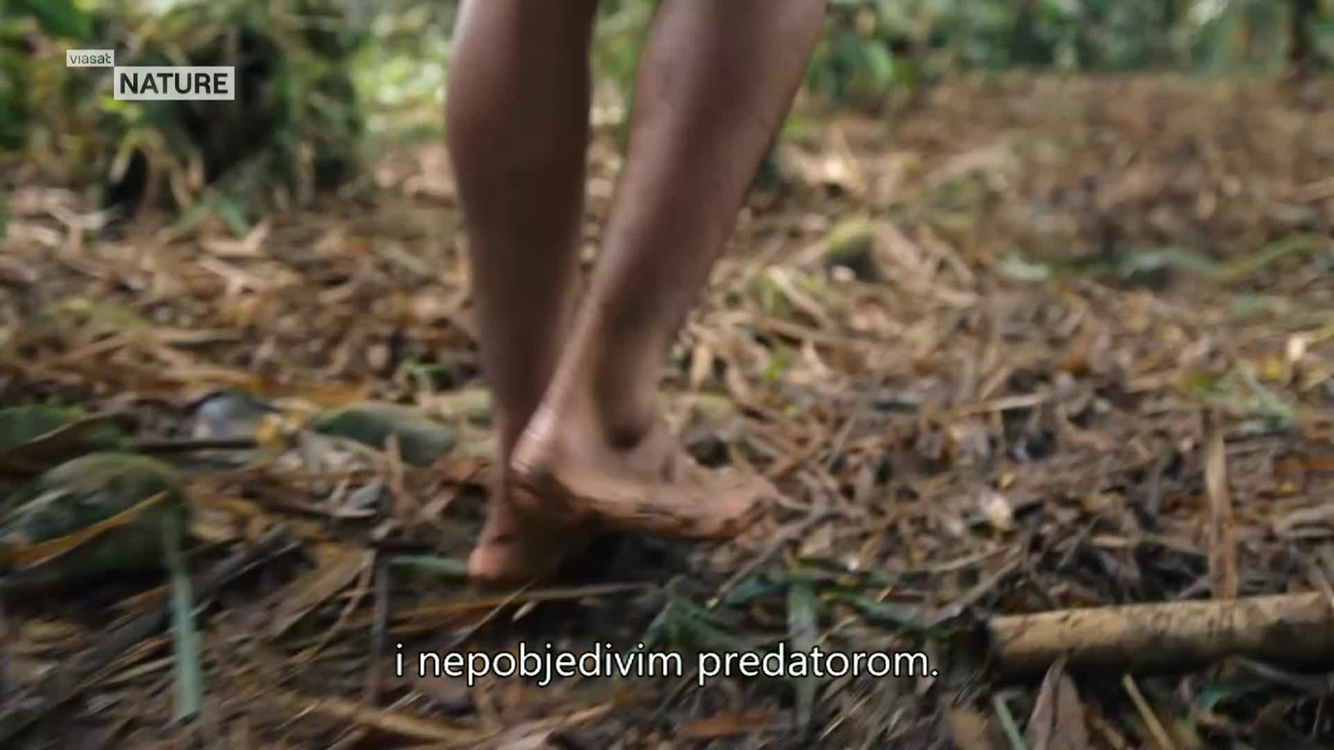 ViasatNature