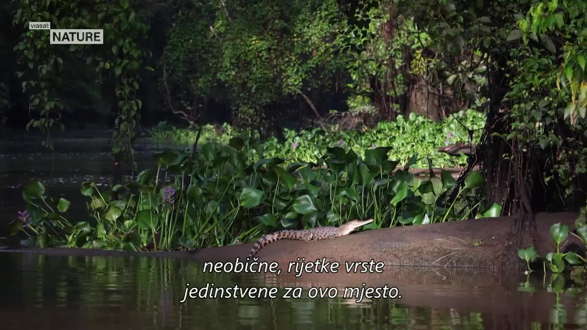 ViasatNature