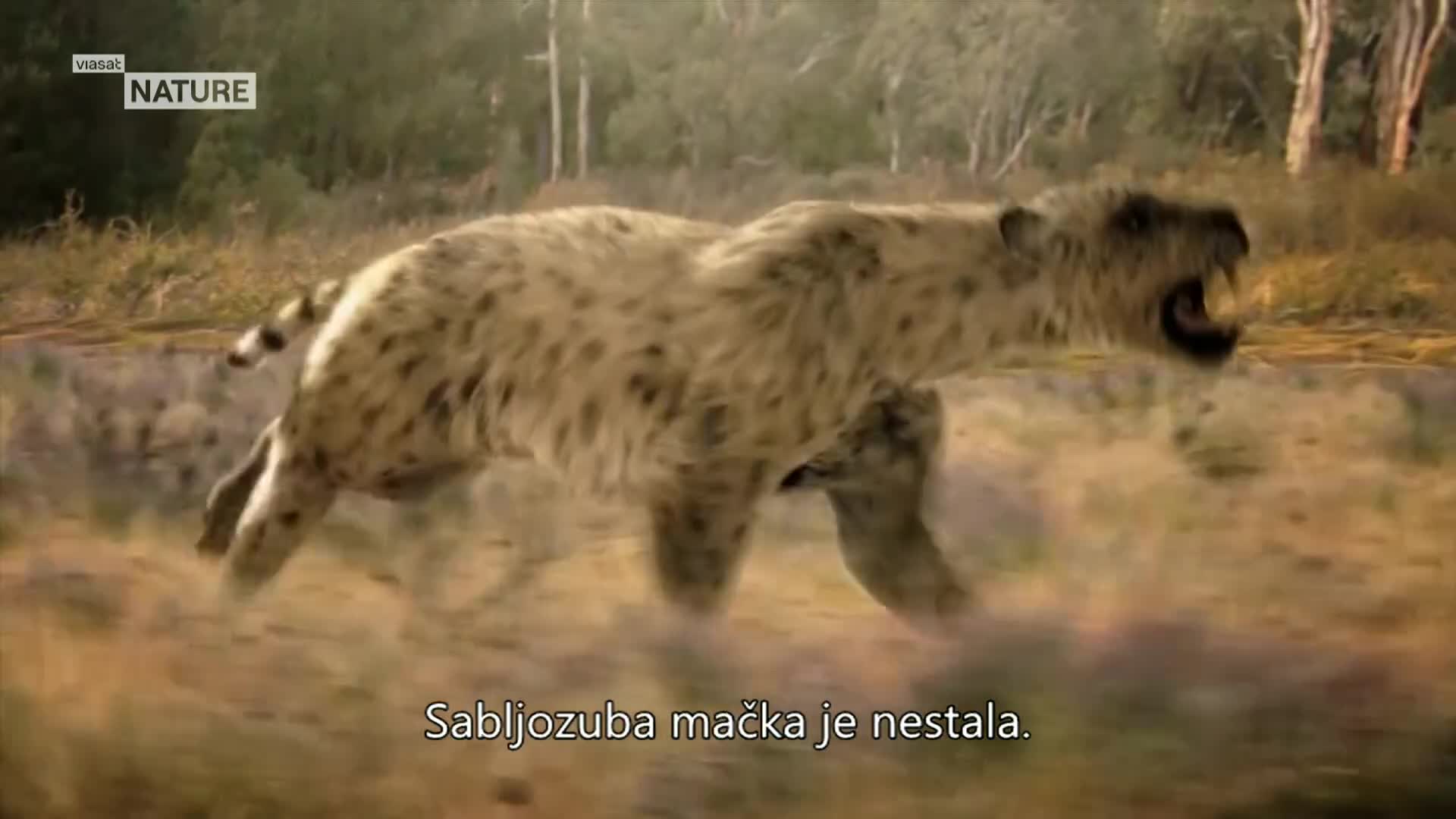 ViasatNature