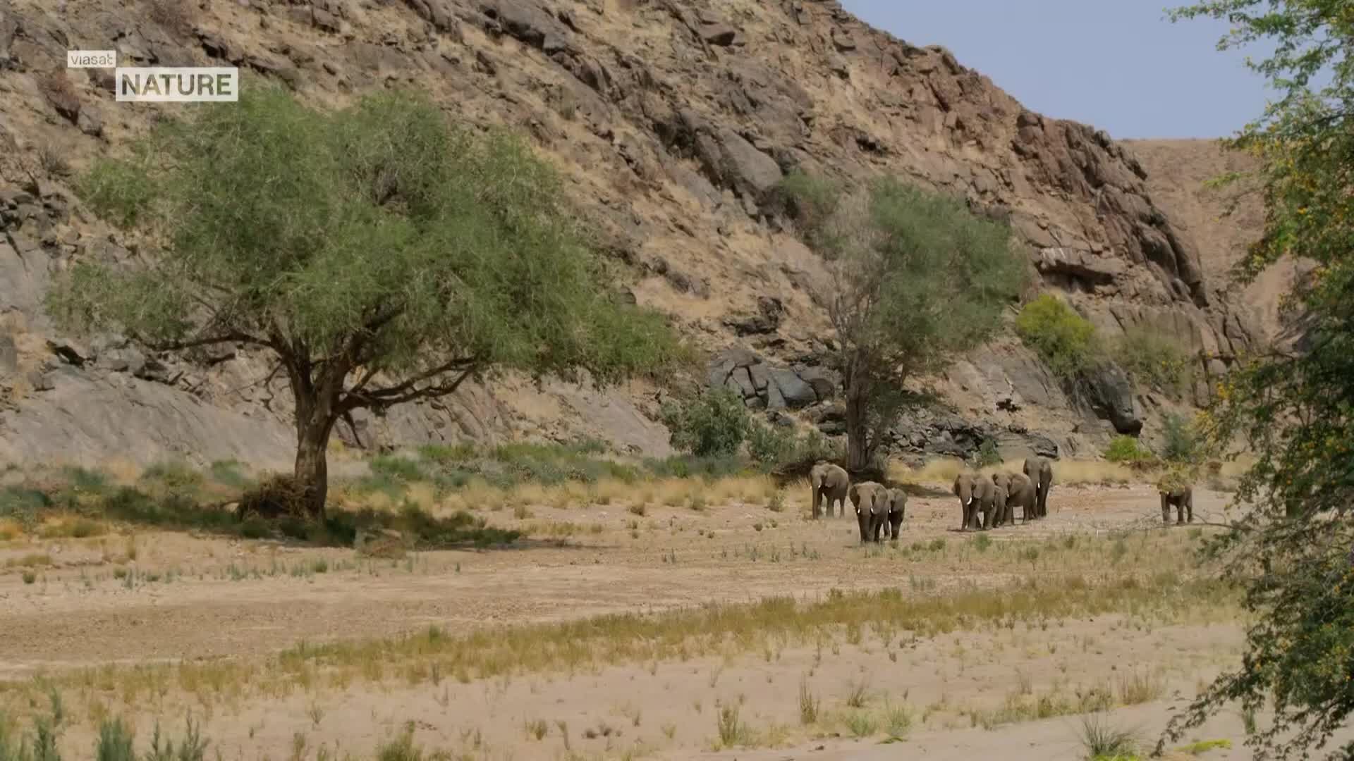 ViasatNature
