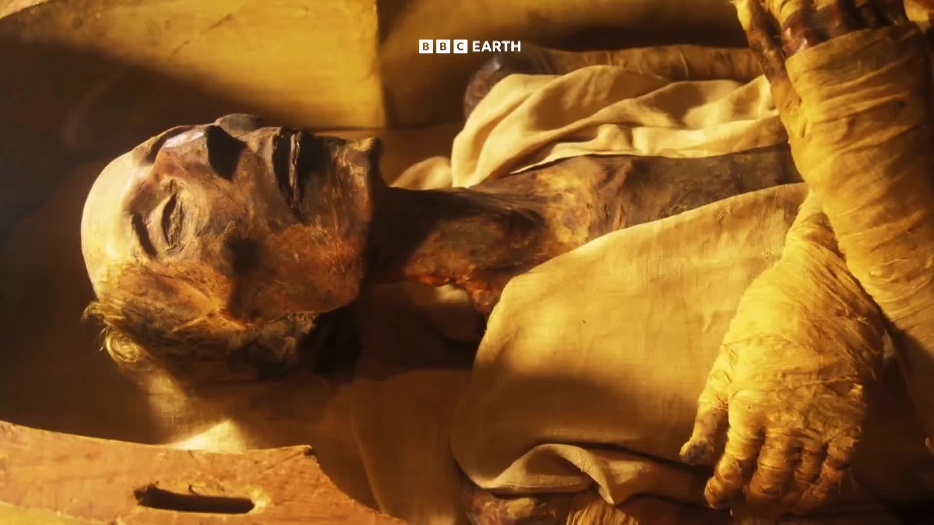 BBCEarth