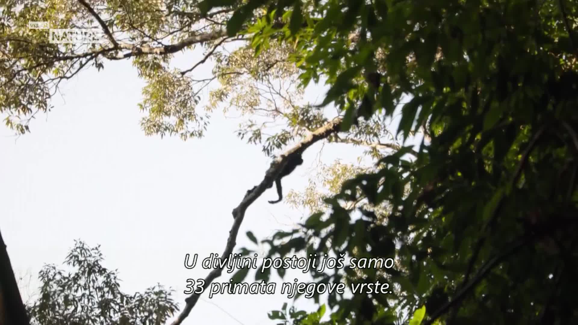 ViasatNature