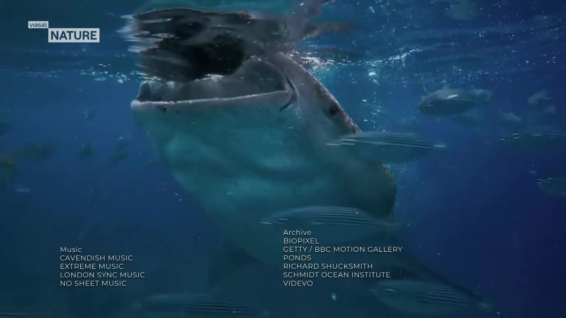 ViasatNature